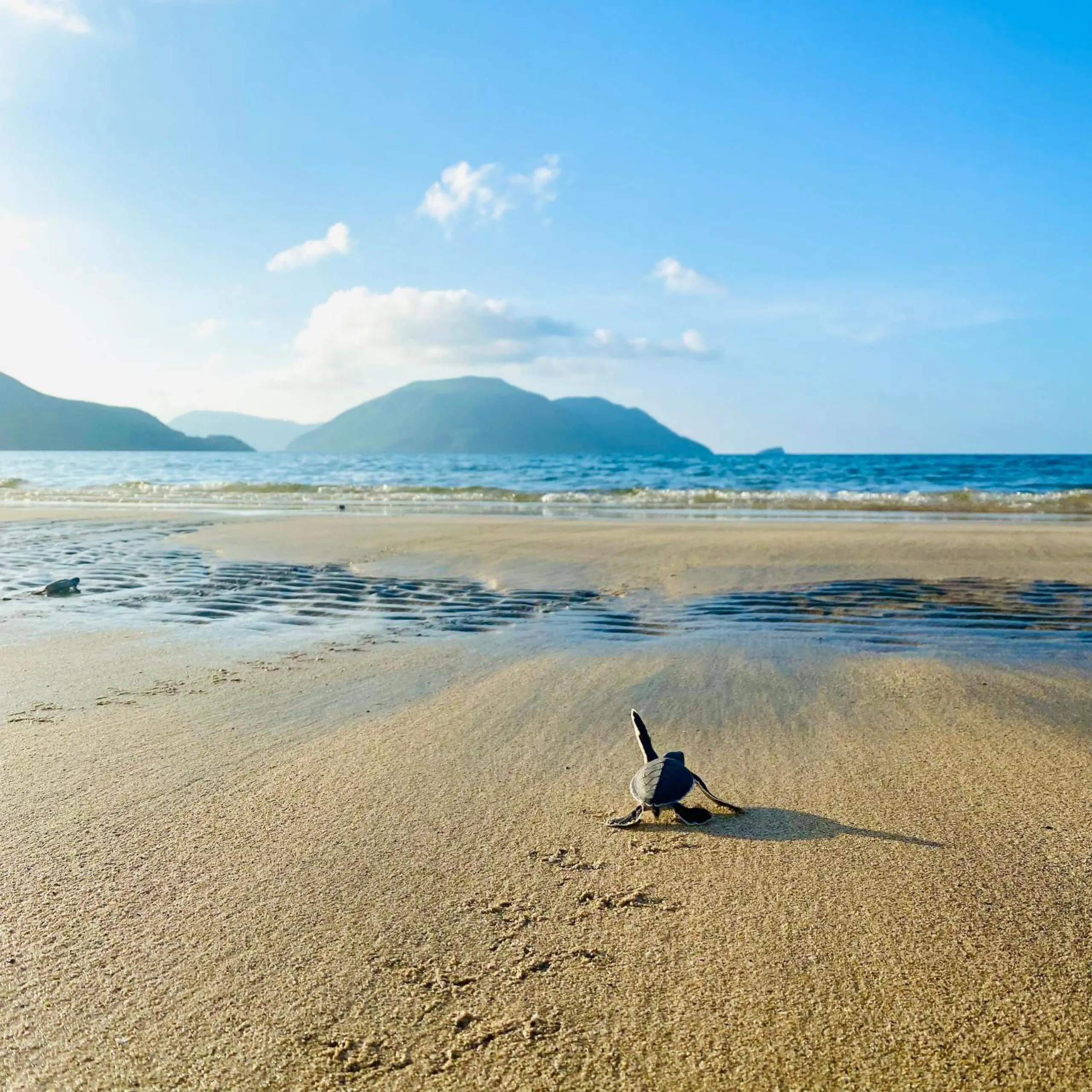 Activities in Six Senses Con Dao - Turtle Island Paradise
