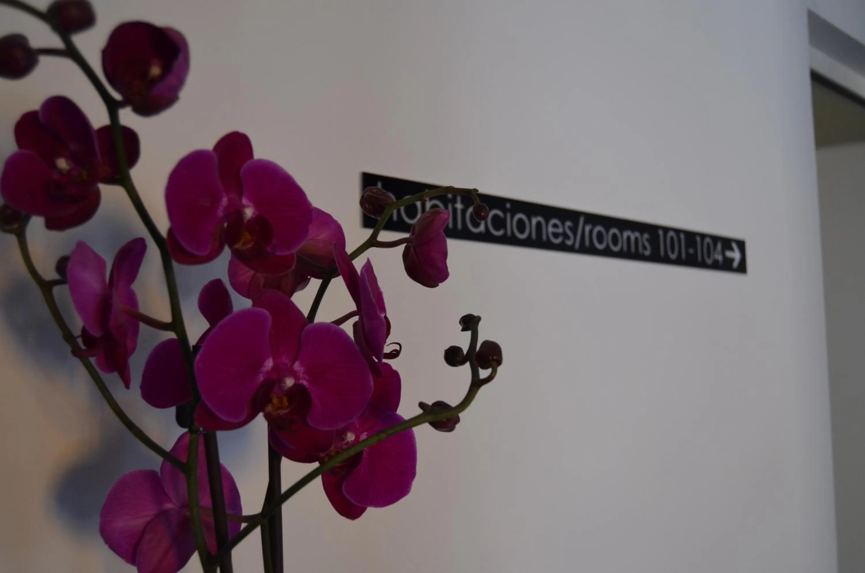 Other in Plaza Mayor