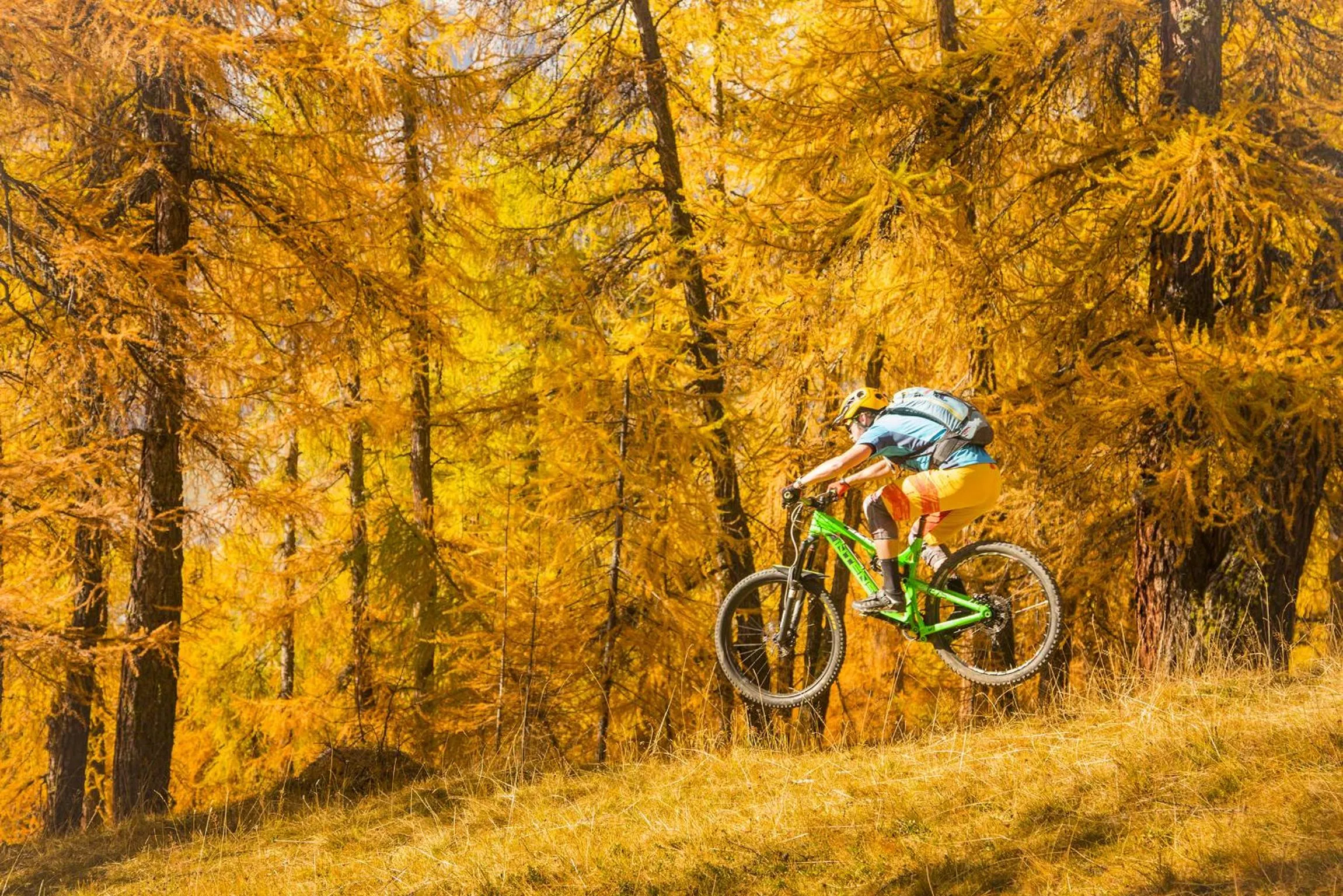 Day in Montivas Lodge