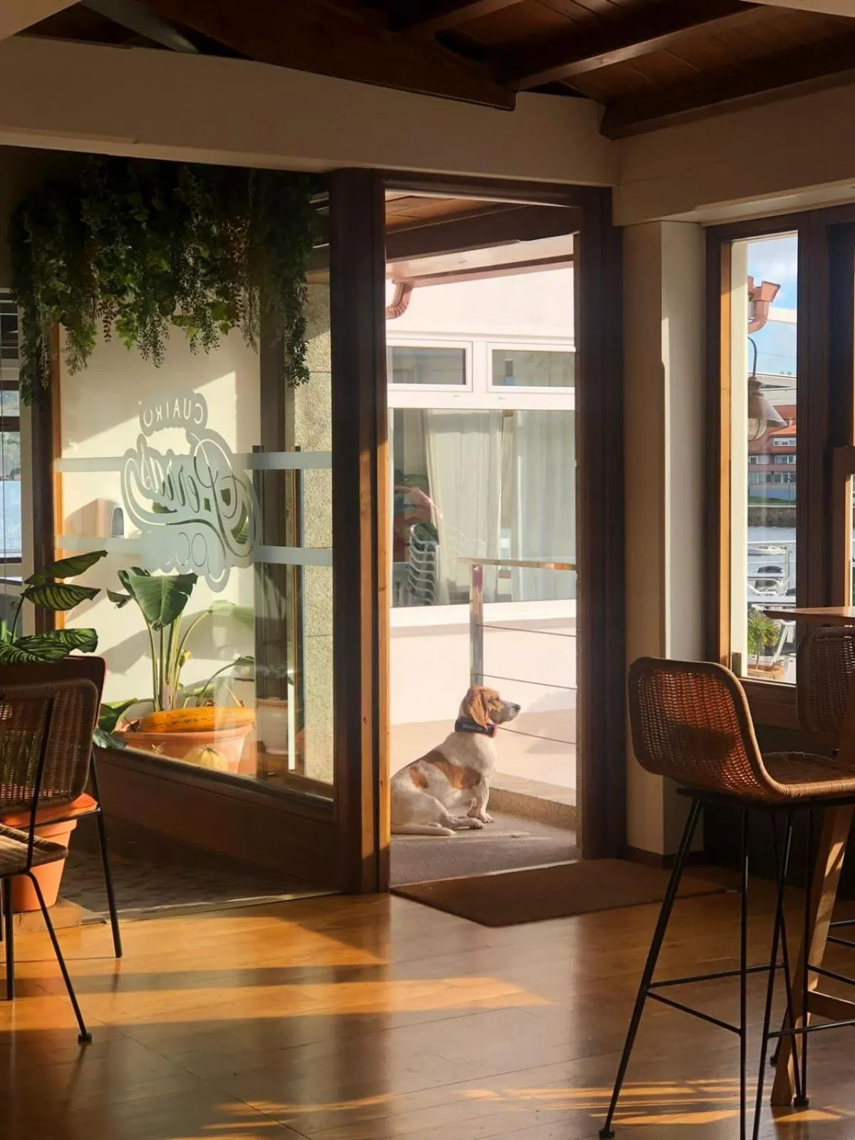 Lounge or bar in Hotel As Hortensias