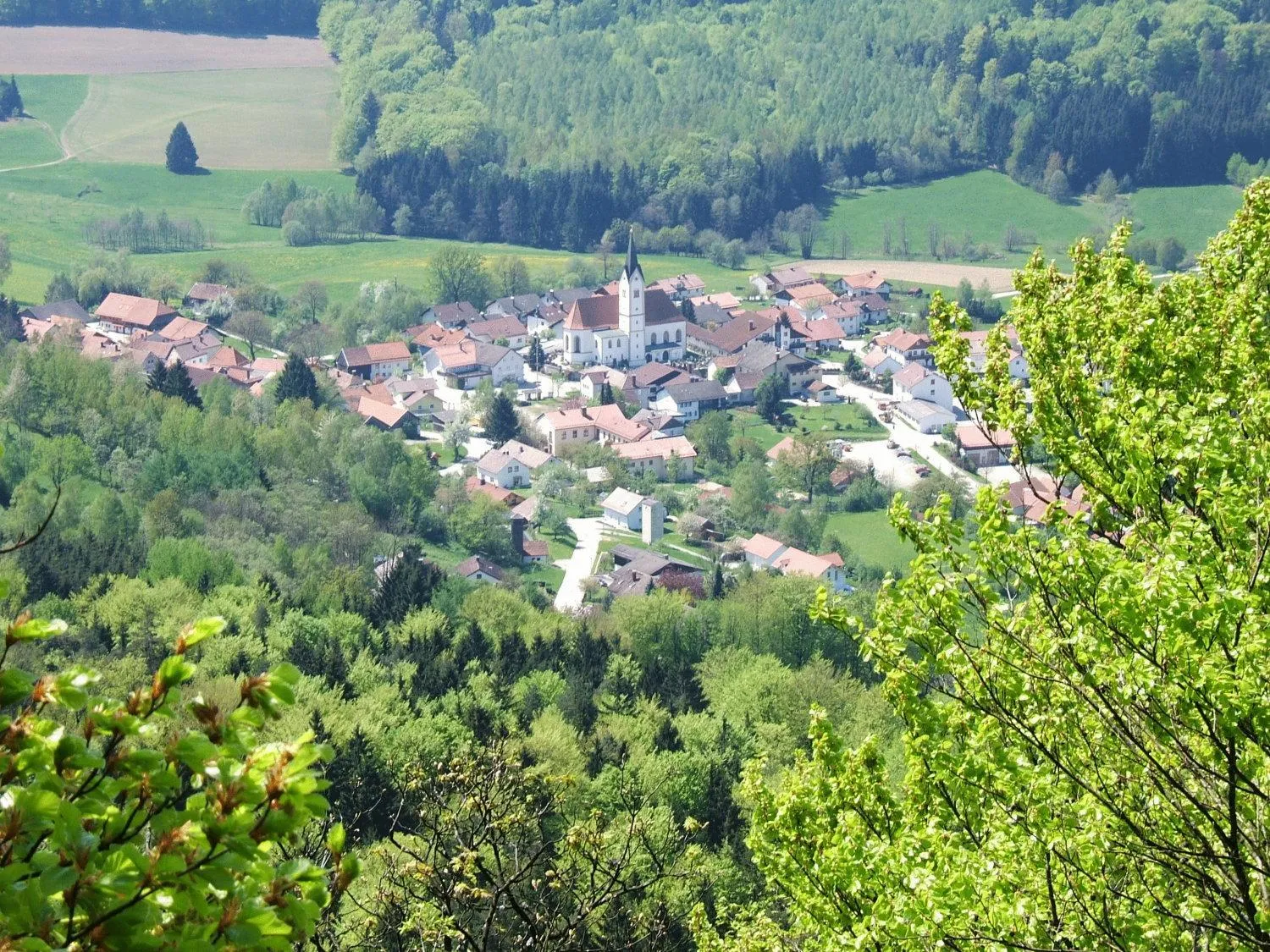 Bird's eye view in Büchelsteiner Hof