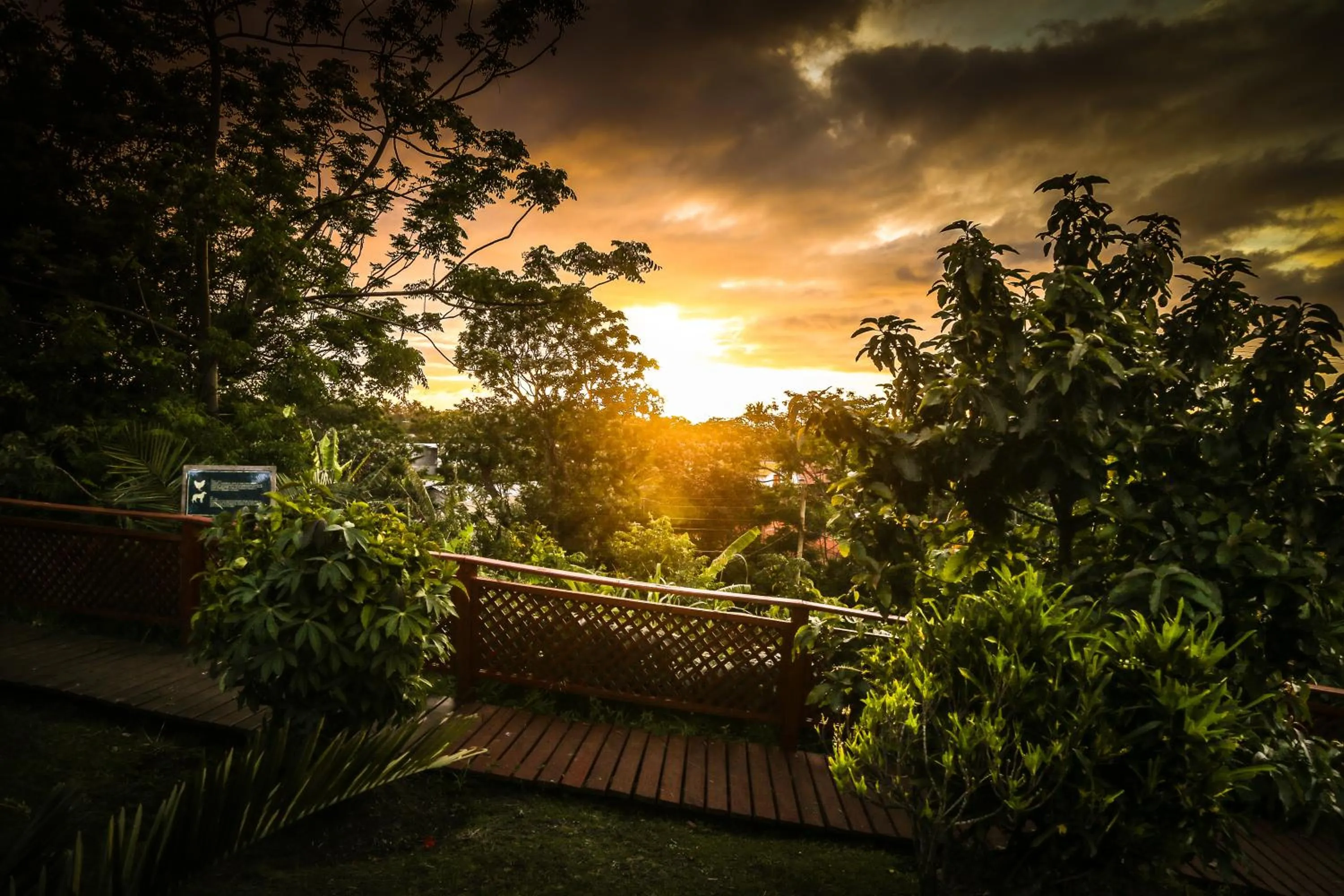 Garden in Easter Island Ecolodge