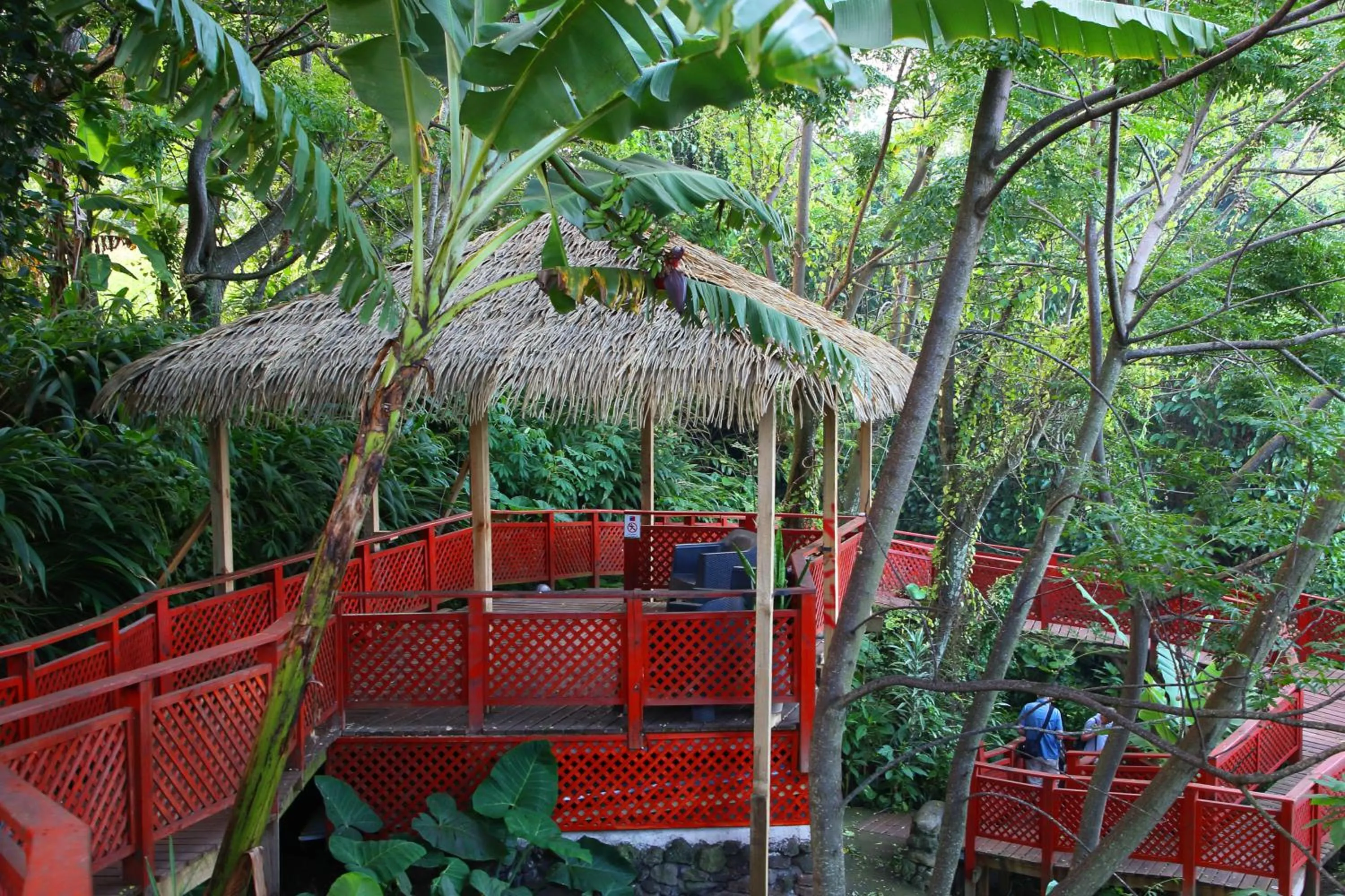 Balcony/Terrace in Easter Island Ecolodge