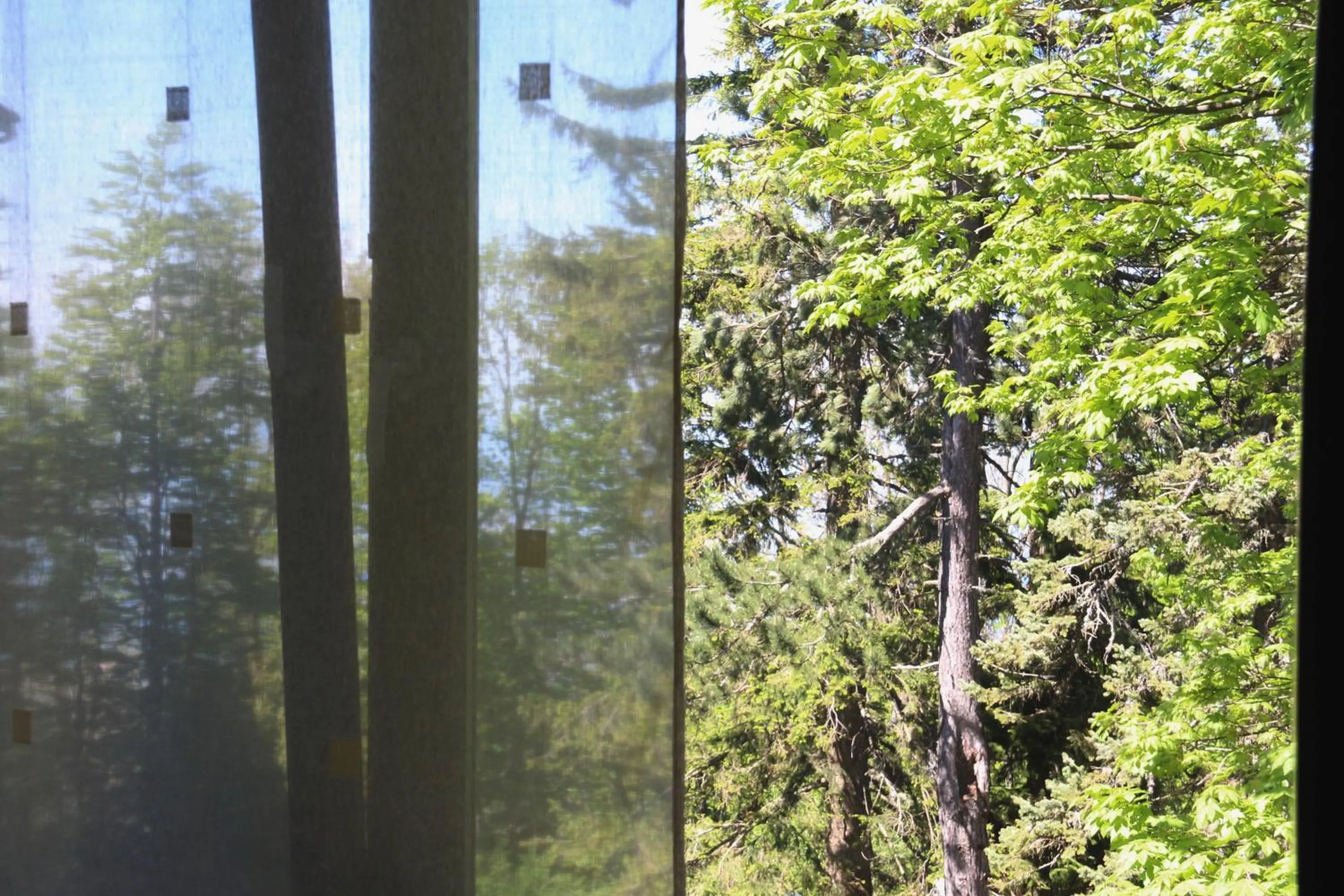 Spring in Hotel Tomislavov Dom