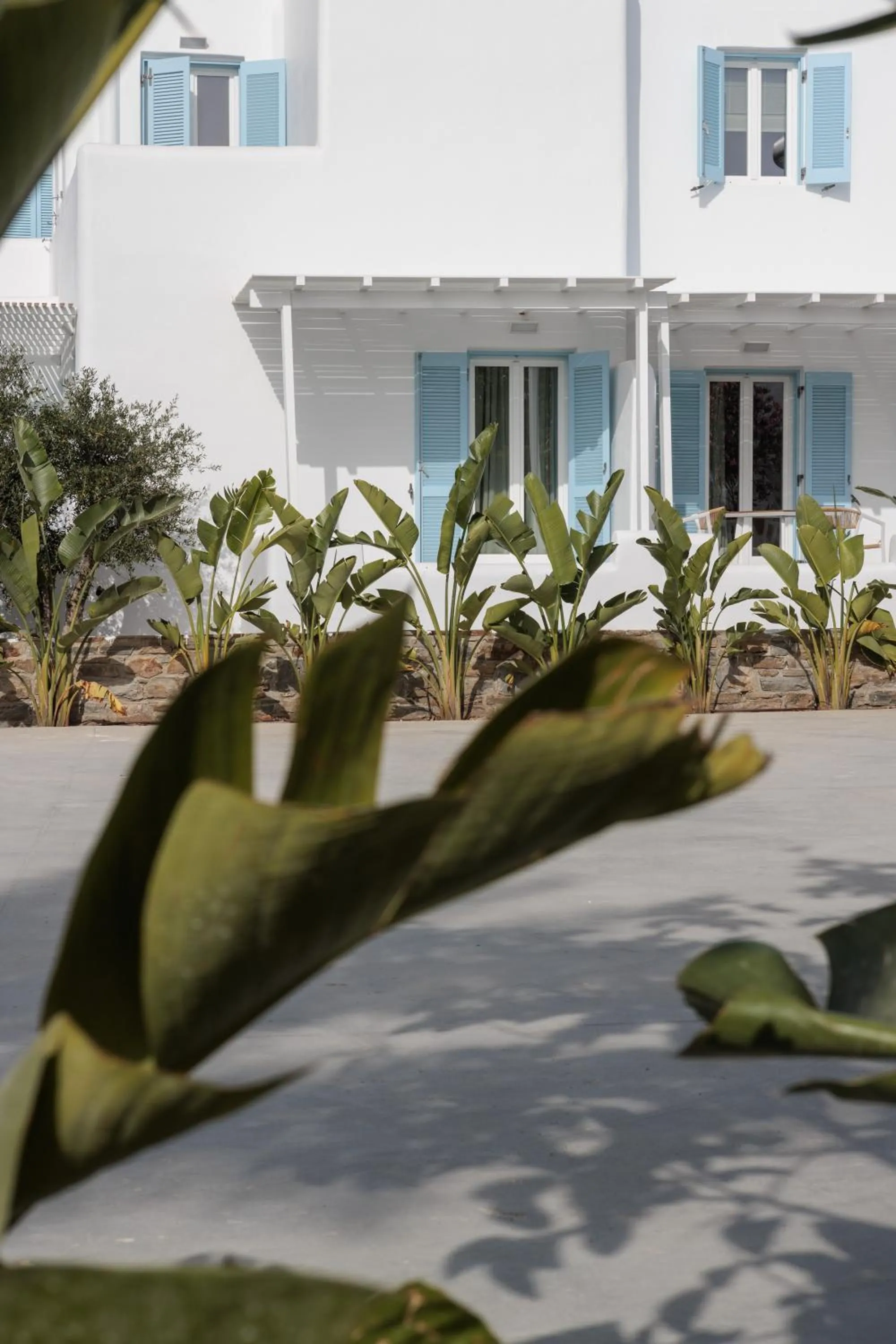 Property building in Agia Anna Living