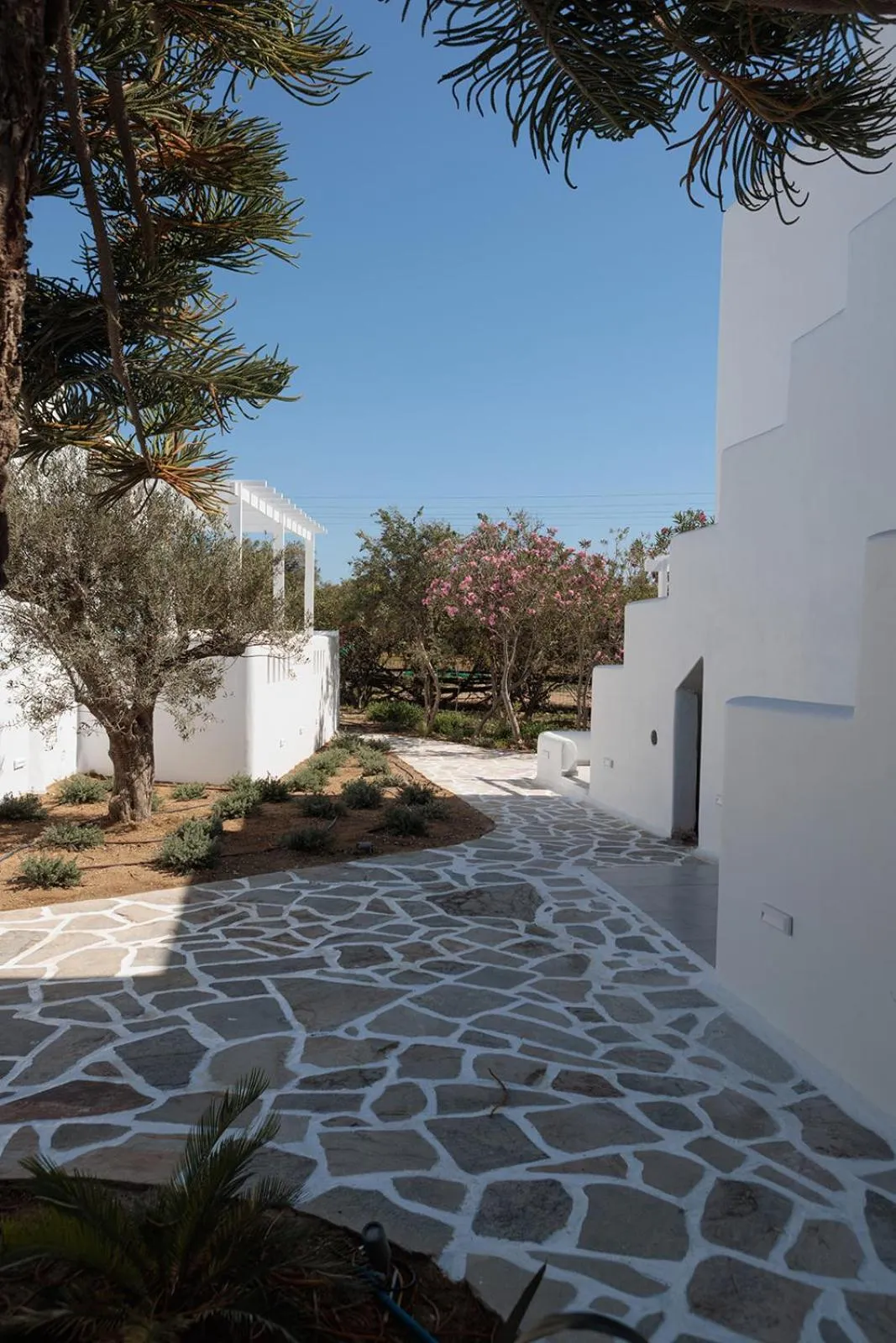 Property building in Agia Anna Living