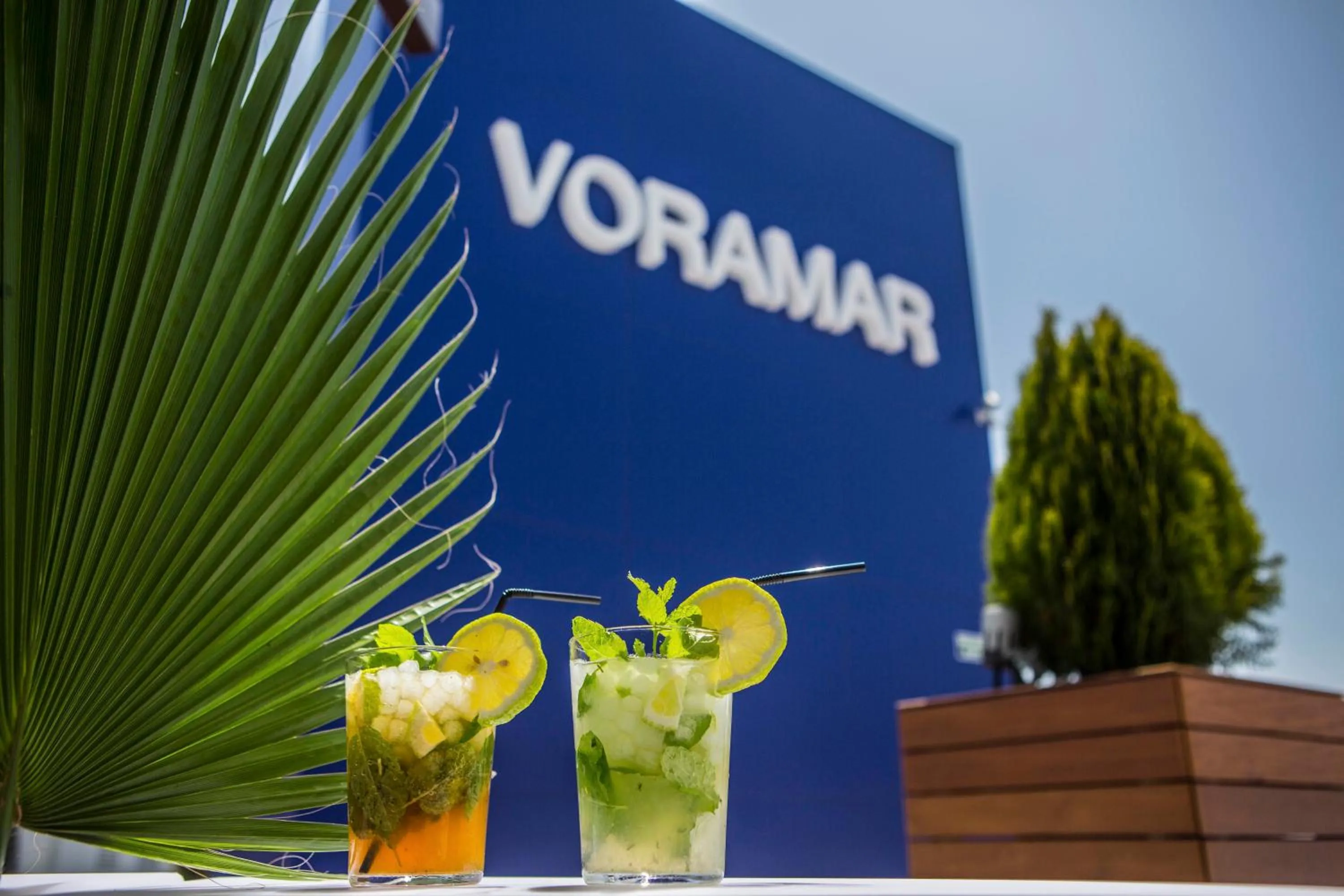 Solarium in Hotel Voramar