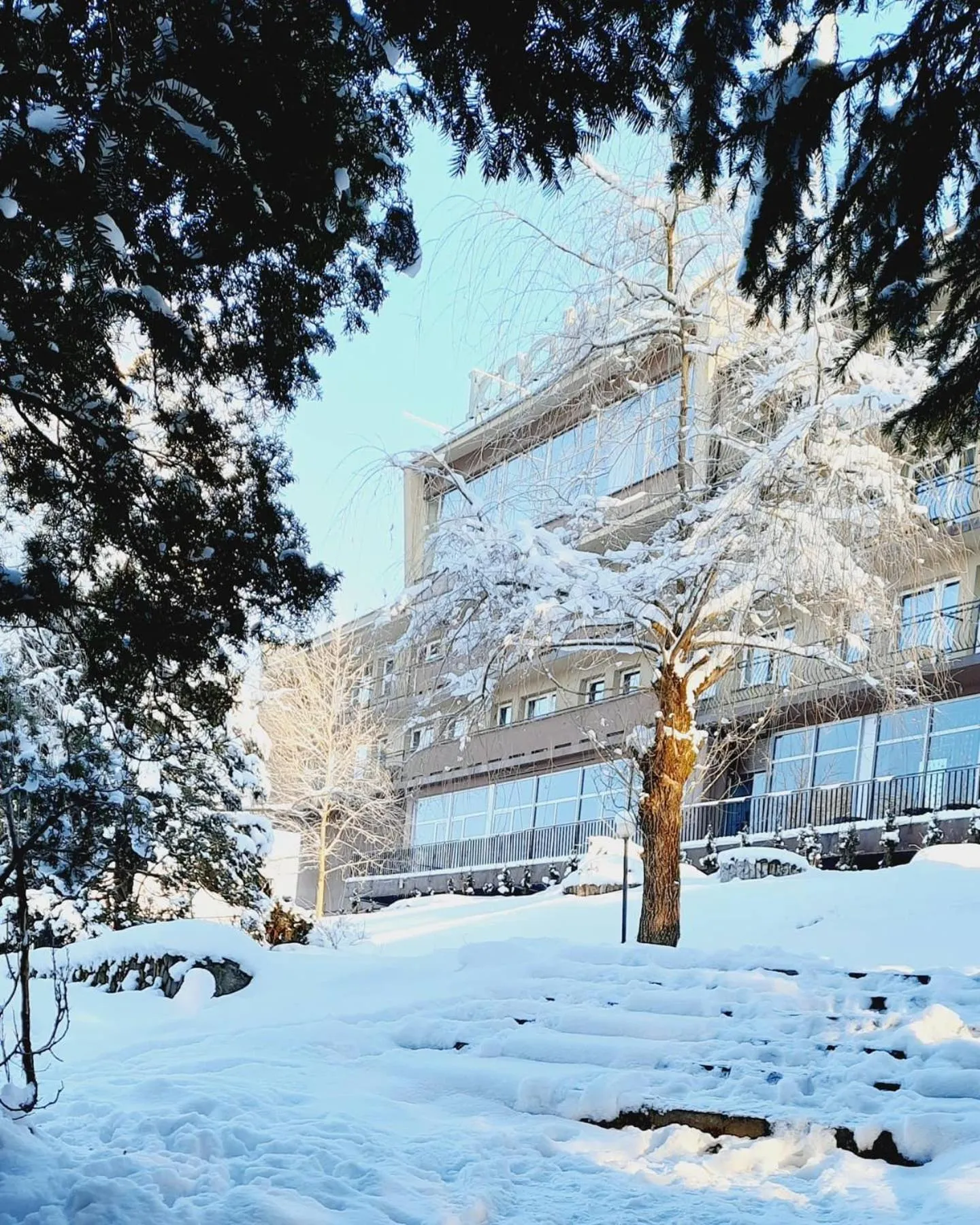 Property building in Krokus