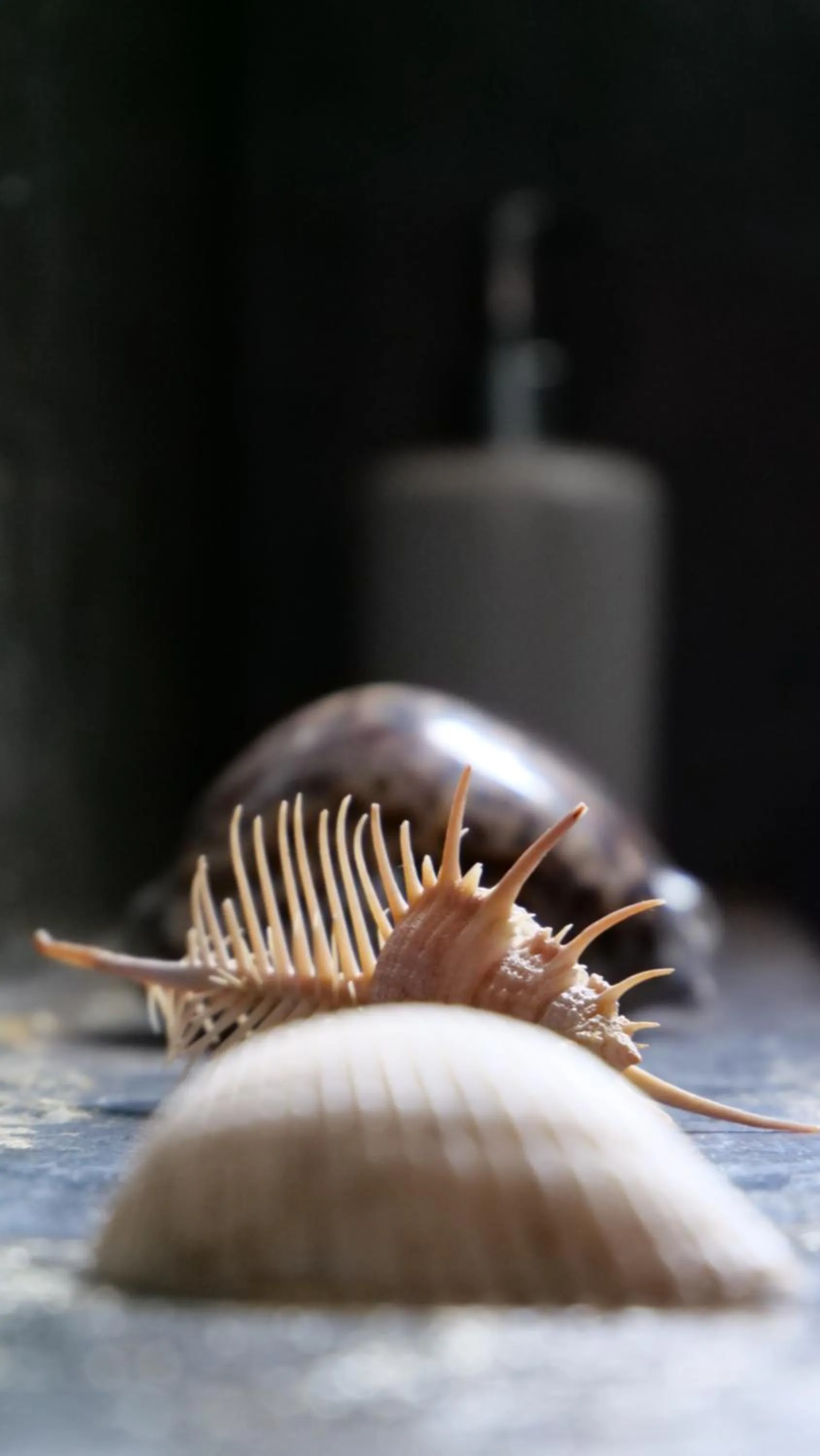 Bathroom in SOUIMANGA-HOTEL