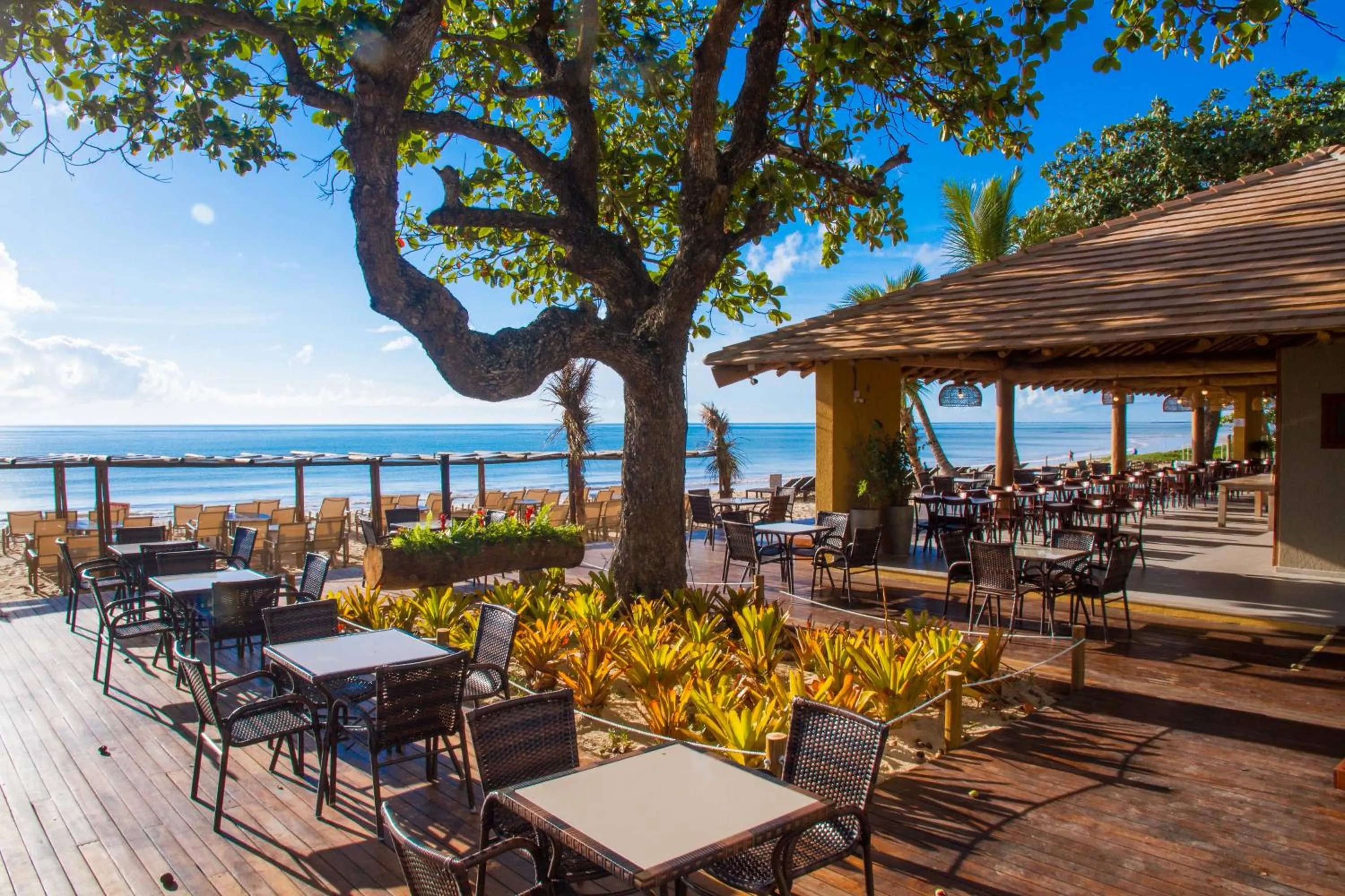 Beach in Porto Seguro Praia Resort All Inclusive - Oficial