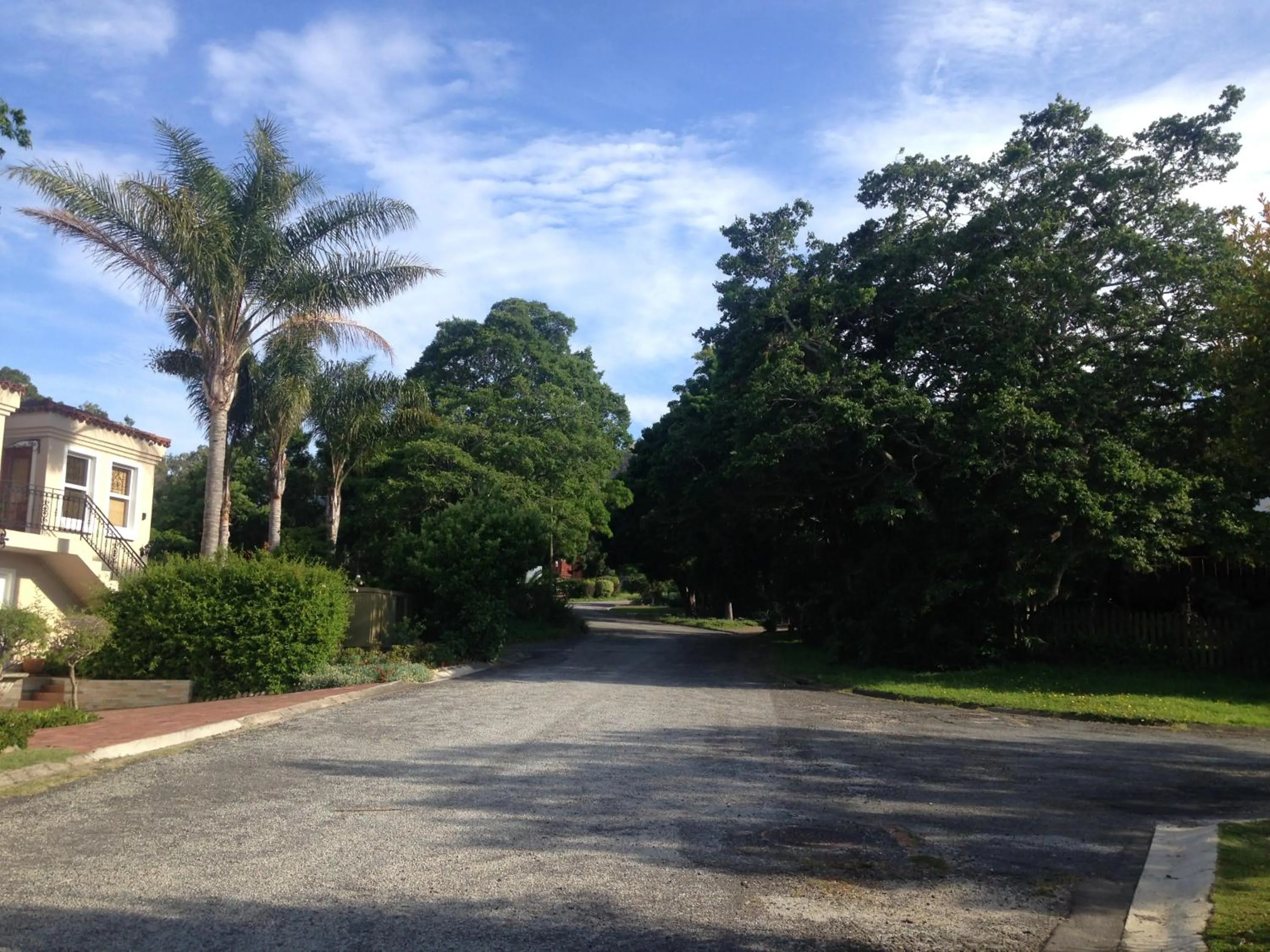 Neighbourhood in Blue Fern of Knysna