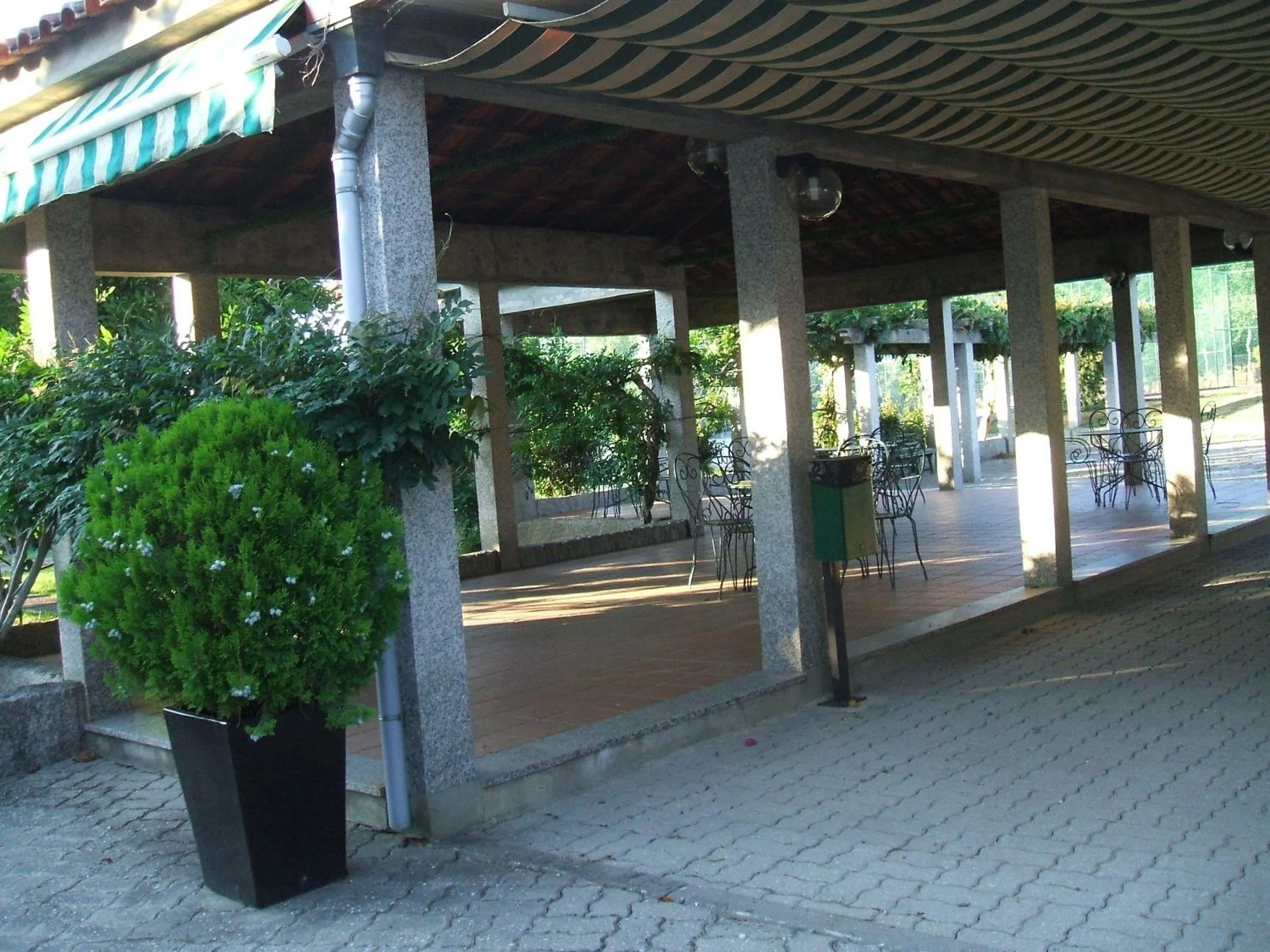 Garden in Hotel Boavista I