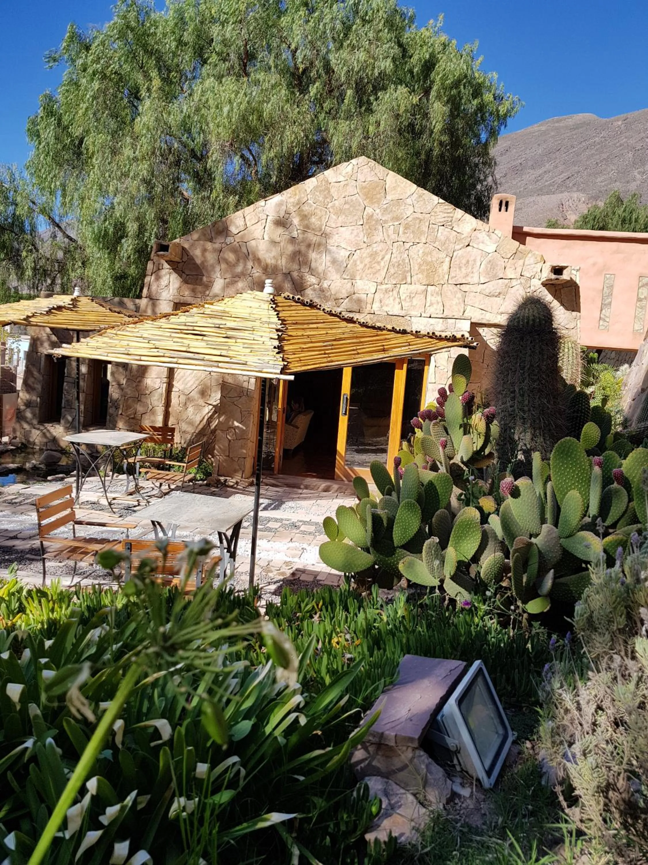 Garden in Las Terrazas Hotel Boutique