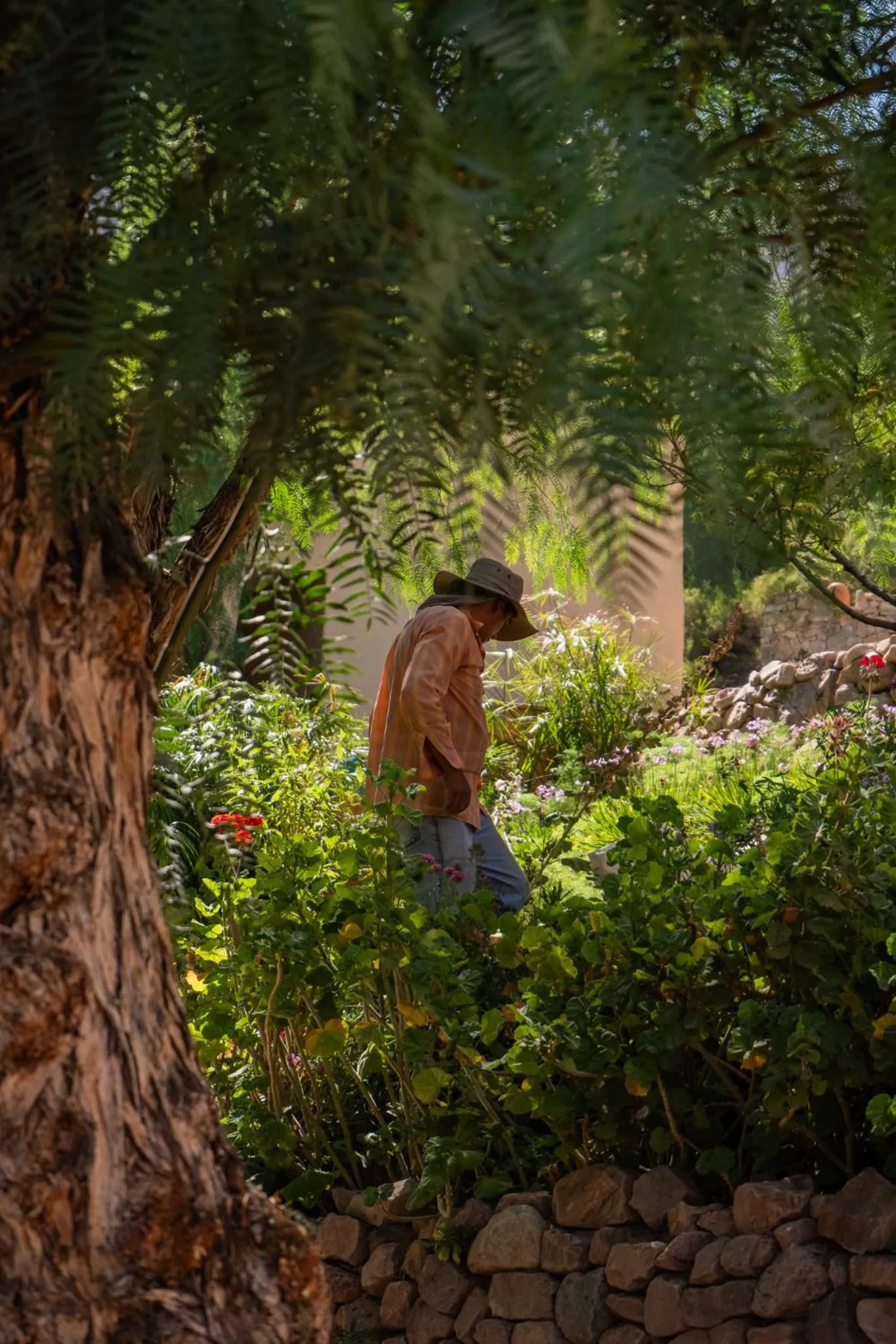 Las Terrazas Hotel Boutique