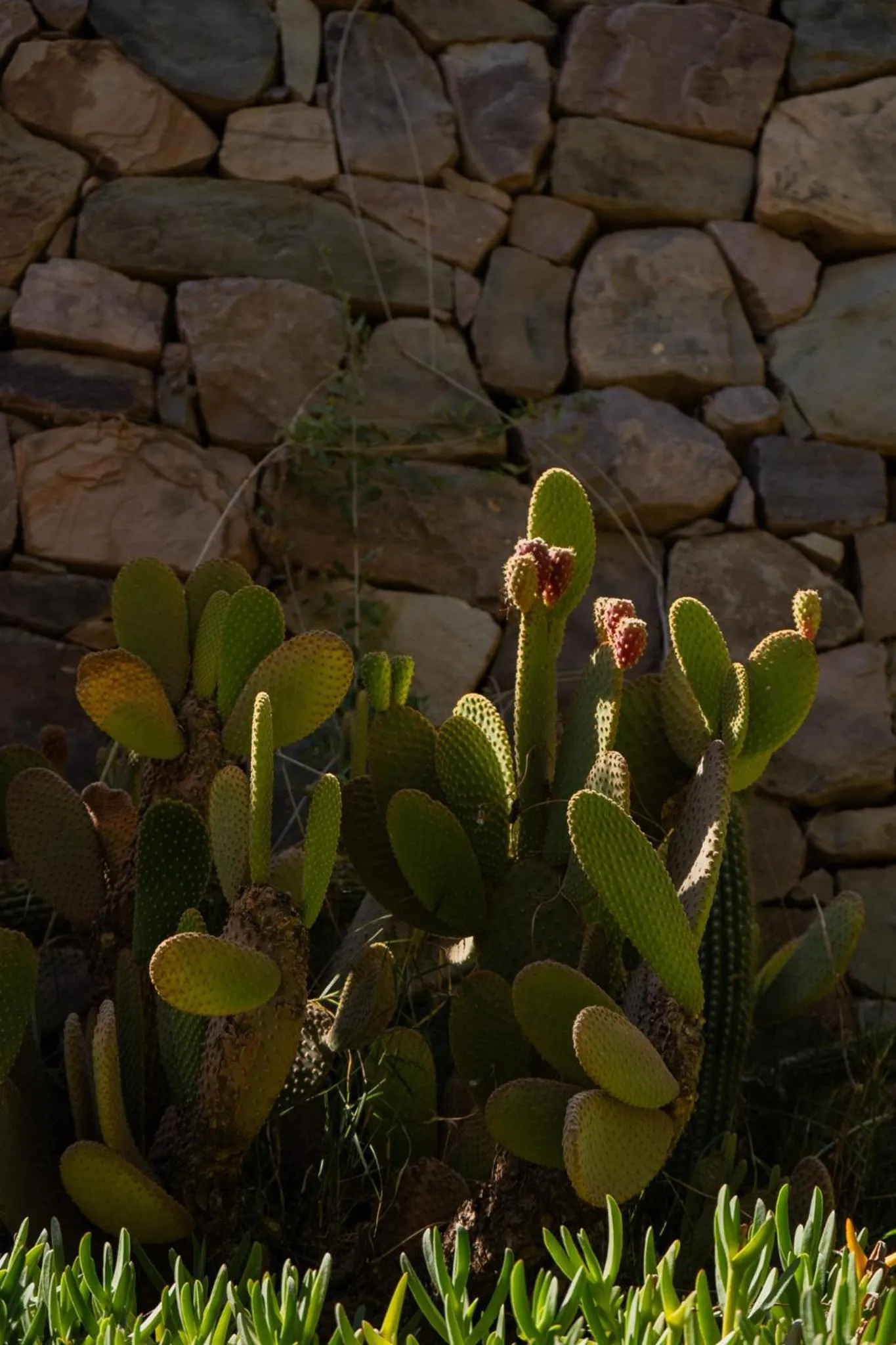 Las Terrazas Hotel Boutique