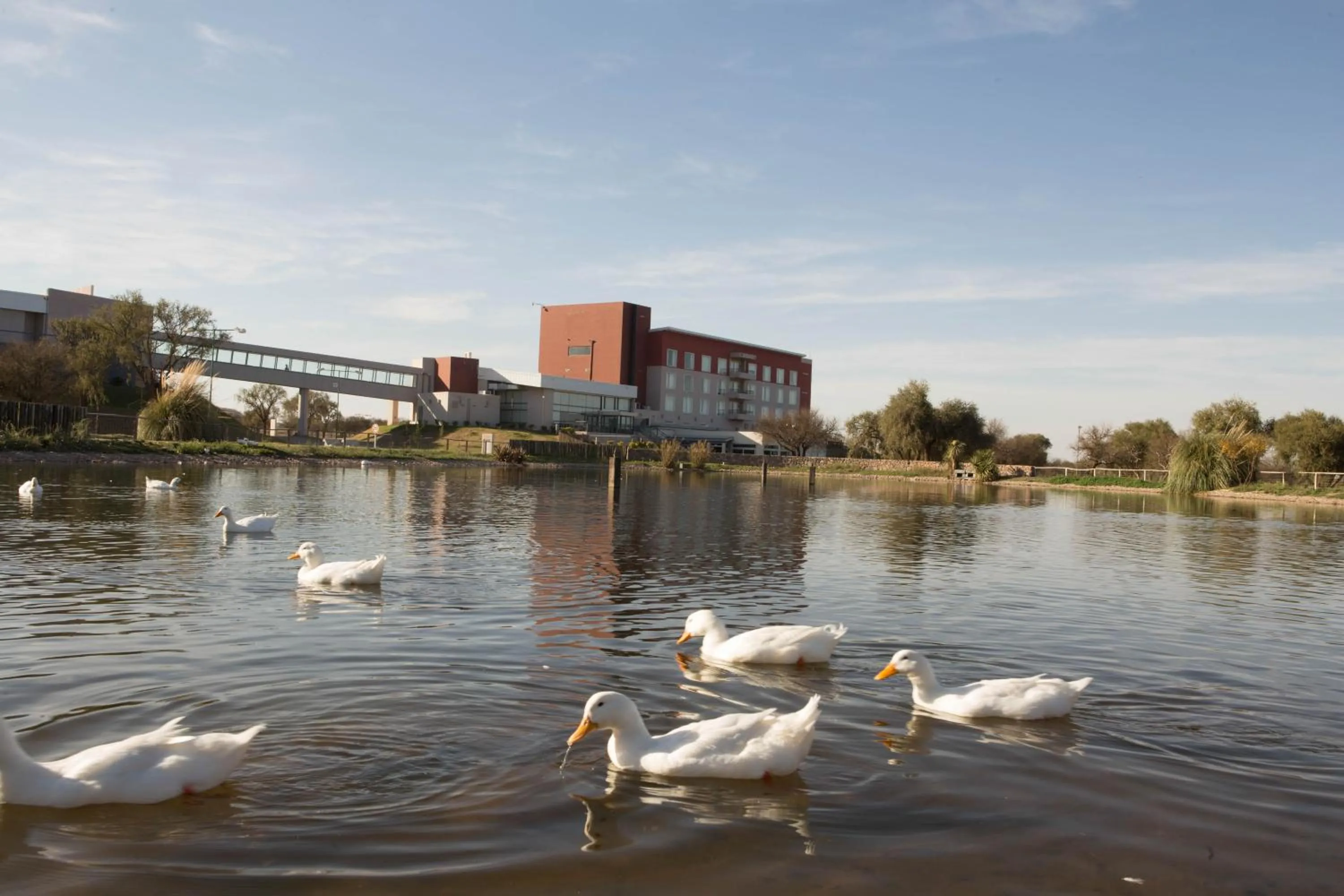 Other in Epic Hotel San Luis