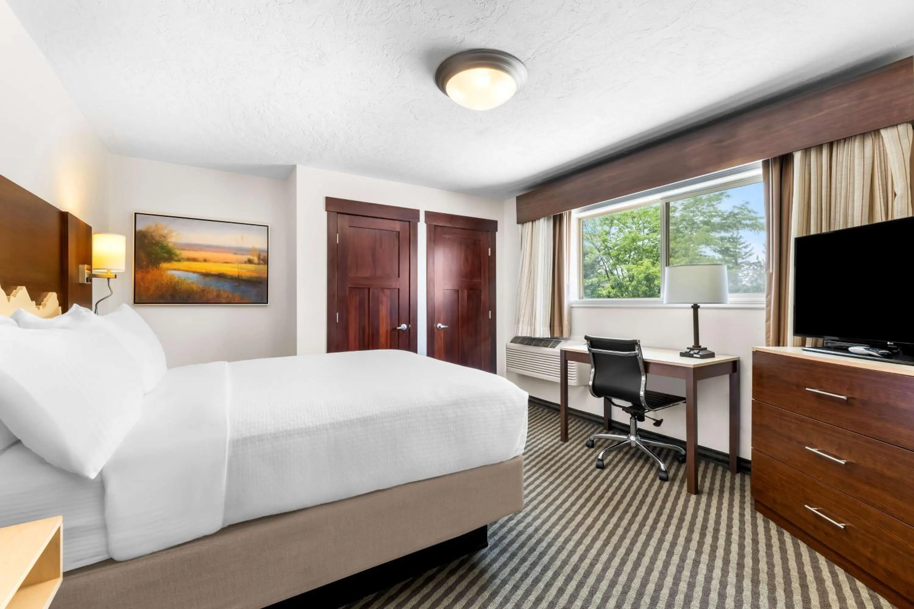 Photo of the whole room, Bed in Best Western Driftwood Inn