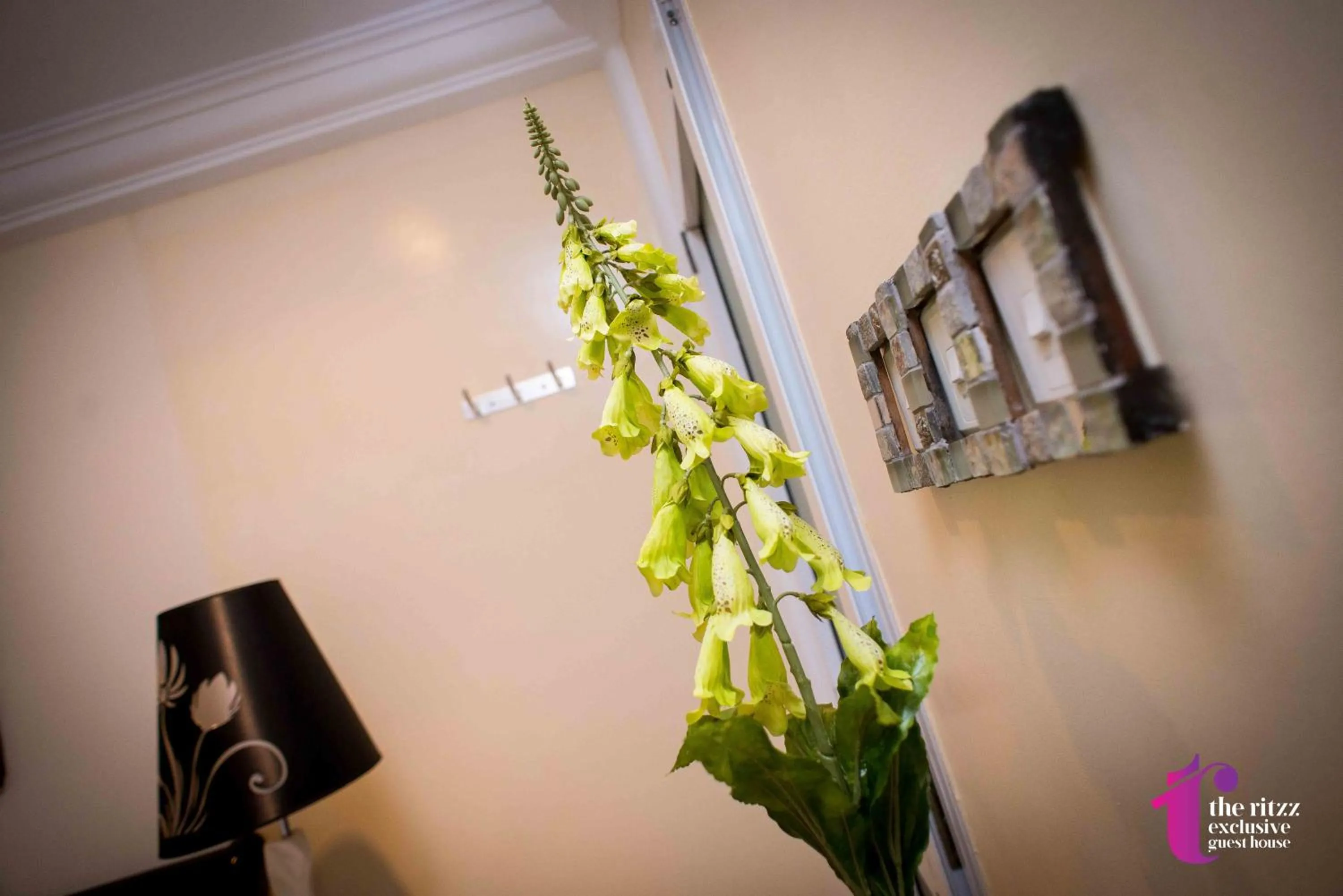 Decorative detail in The Ritzz Exclusive Guest House