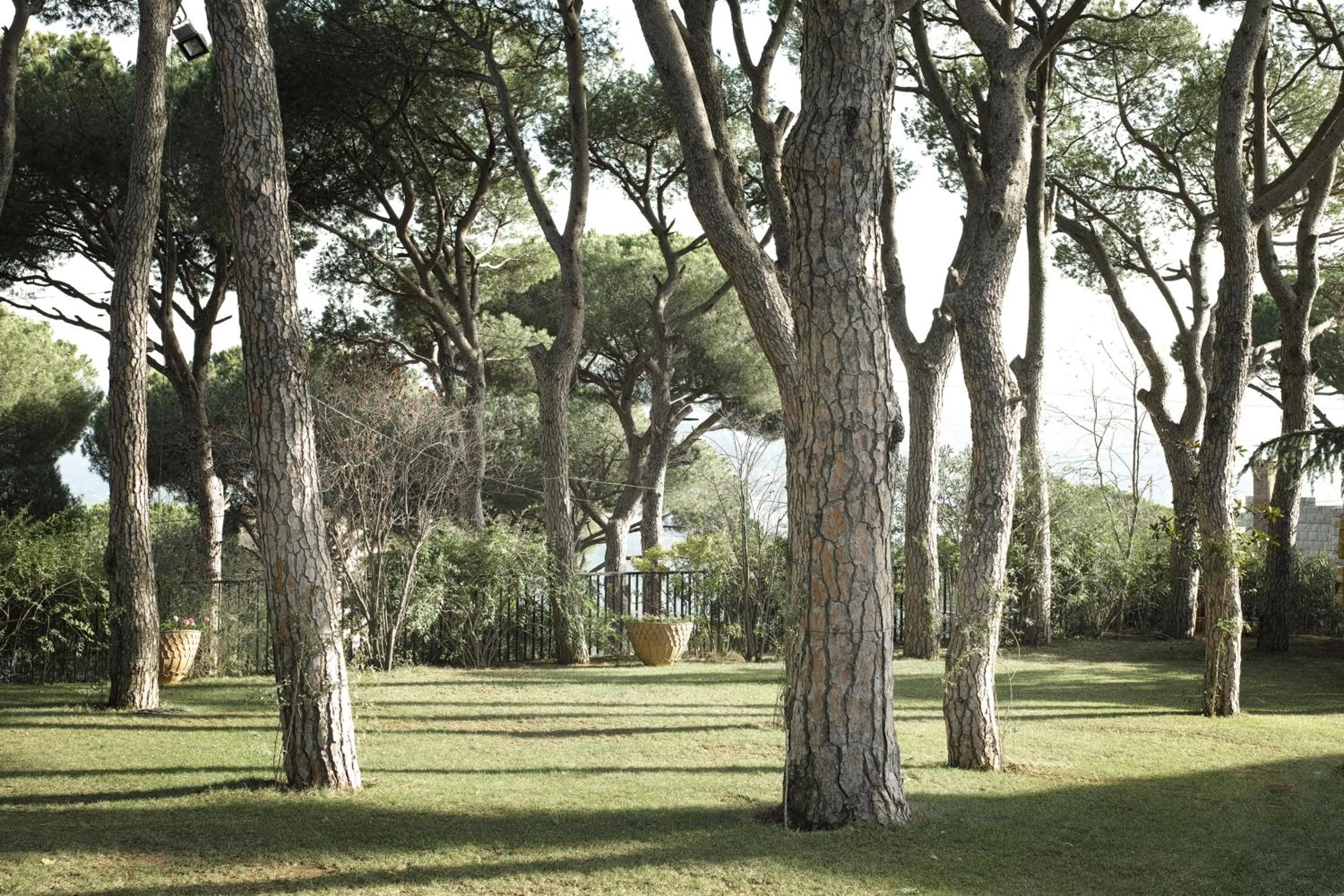 Garden in Hotel Al Bustan