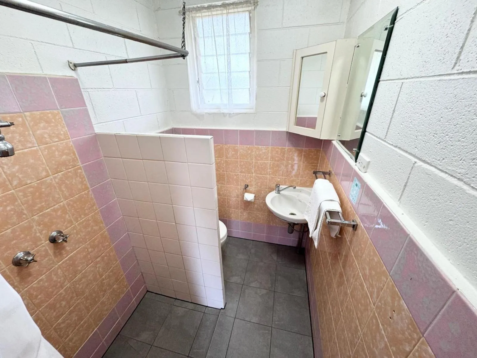 Bathroom in Barossa Palms Motel