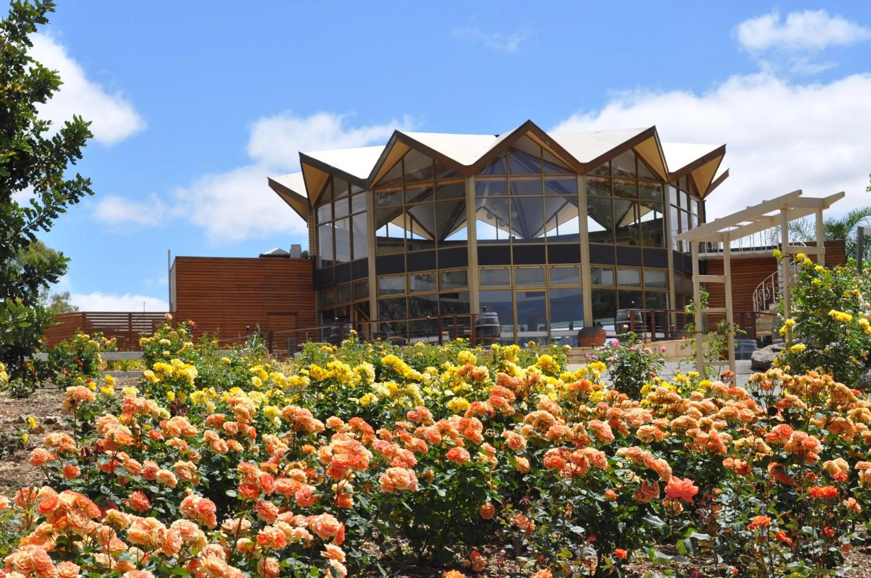 Property building in Lyndoch Hill