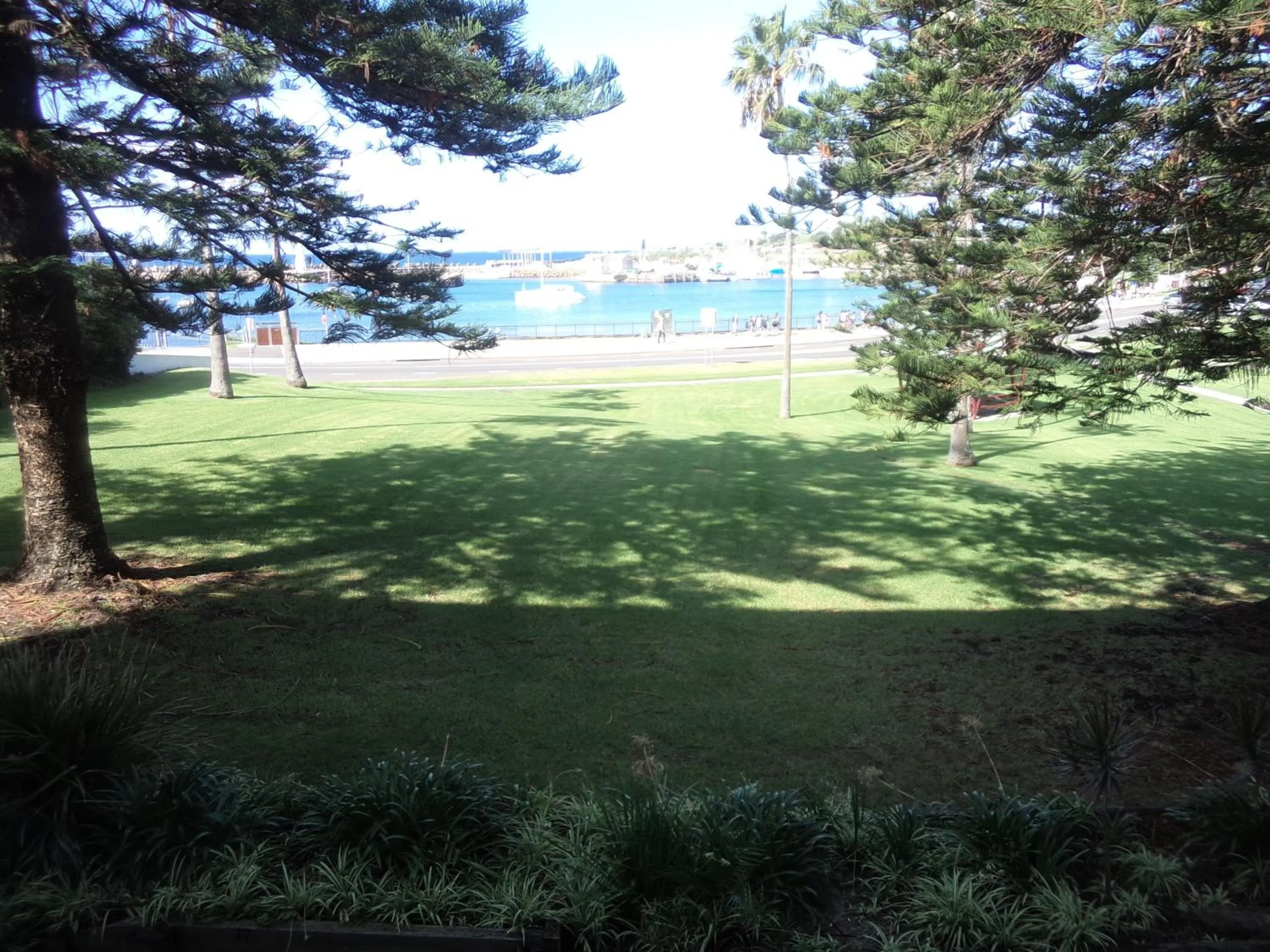 Garden view in Boat Harbour Motel