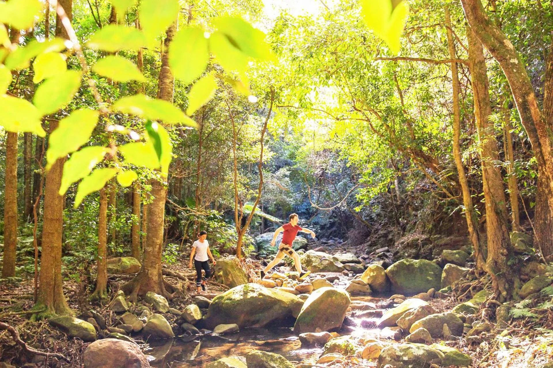 Hiking in Golf Place Inn Wollongong