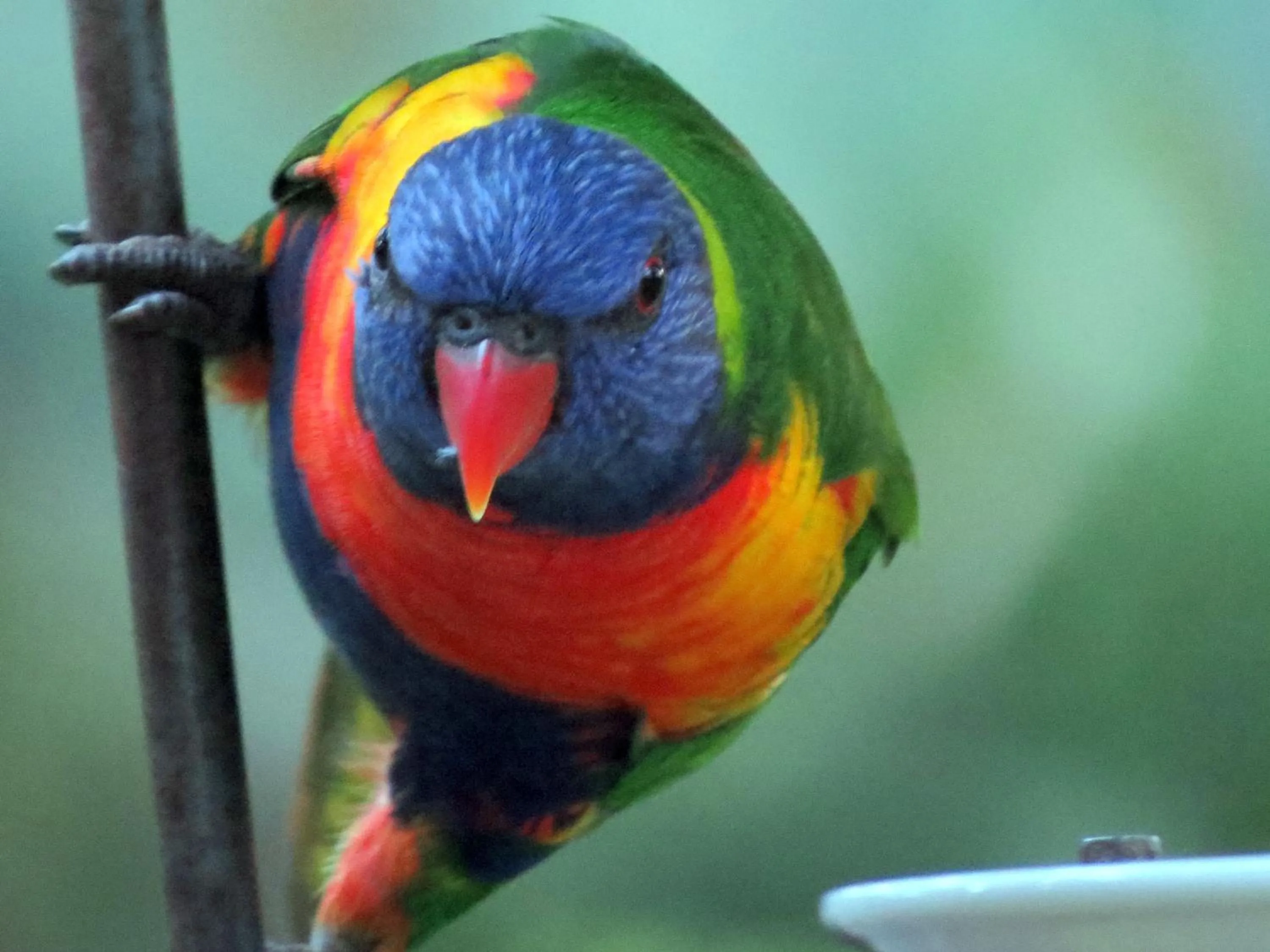 Nearby landmark in The Bower At Broulee