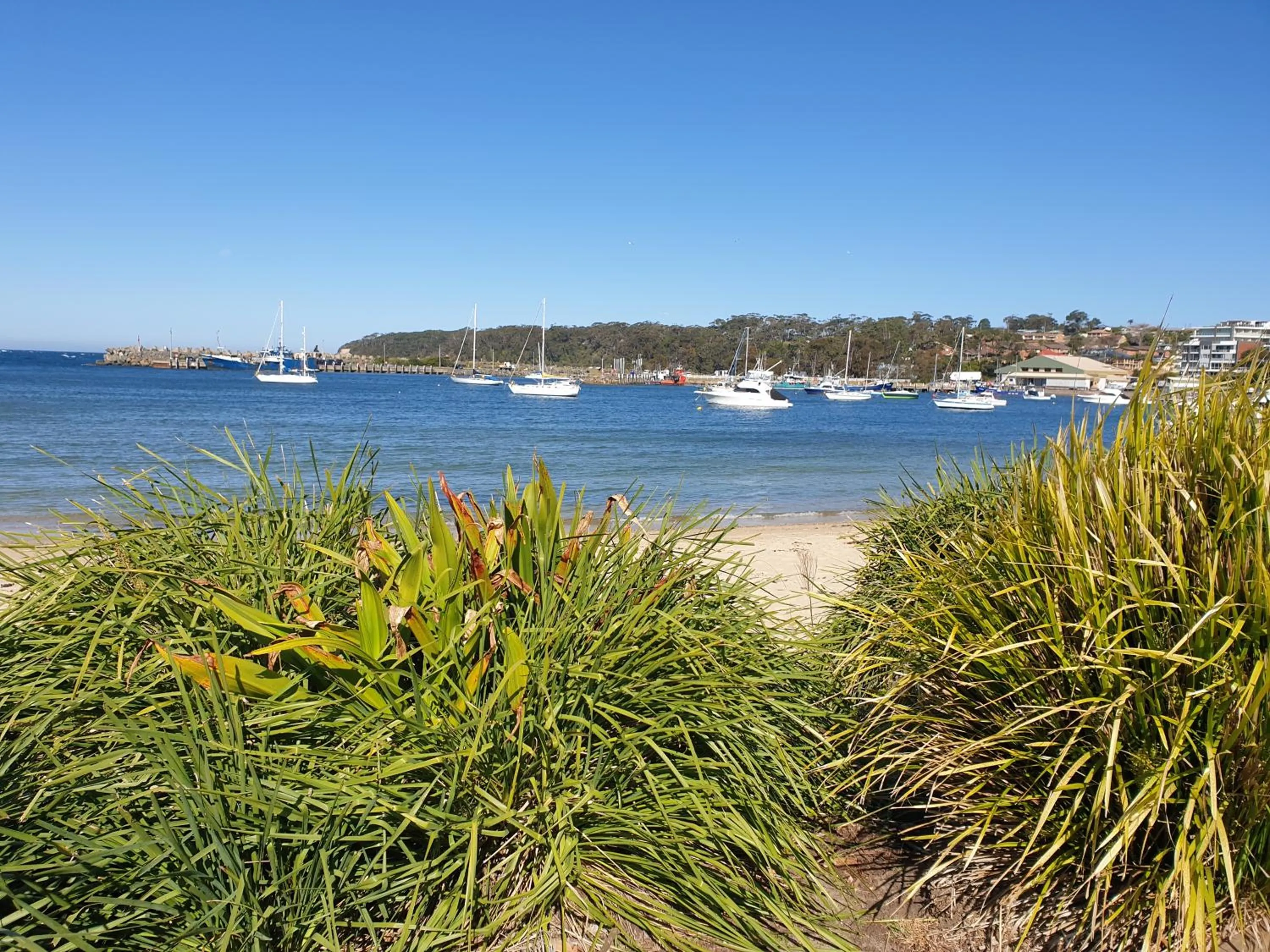 Sandpiper Motel Ulladulla