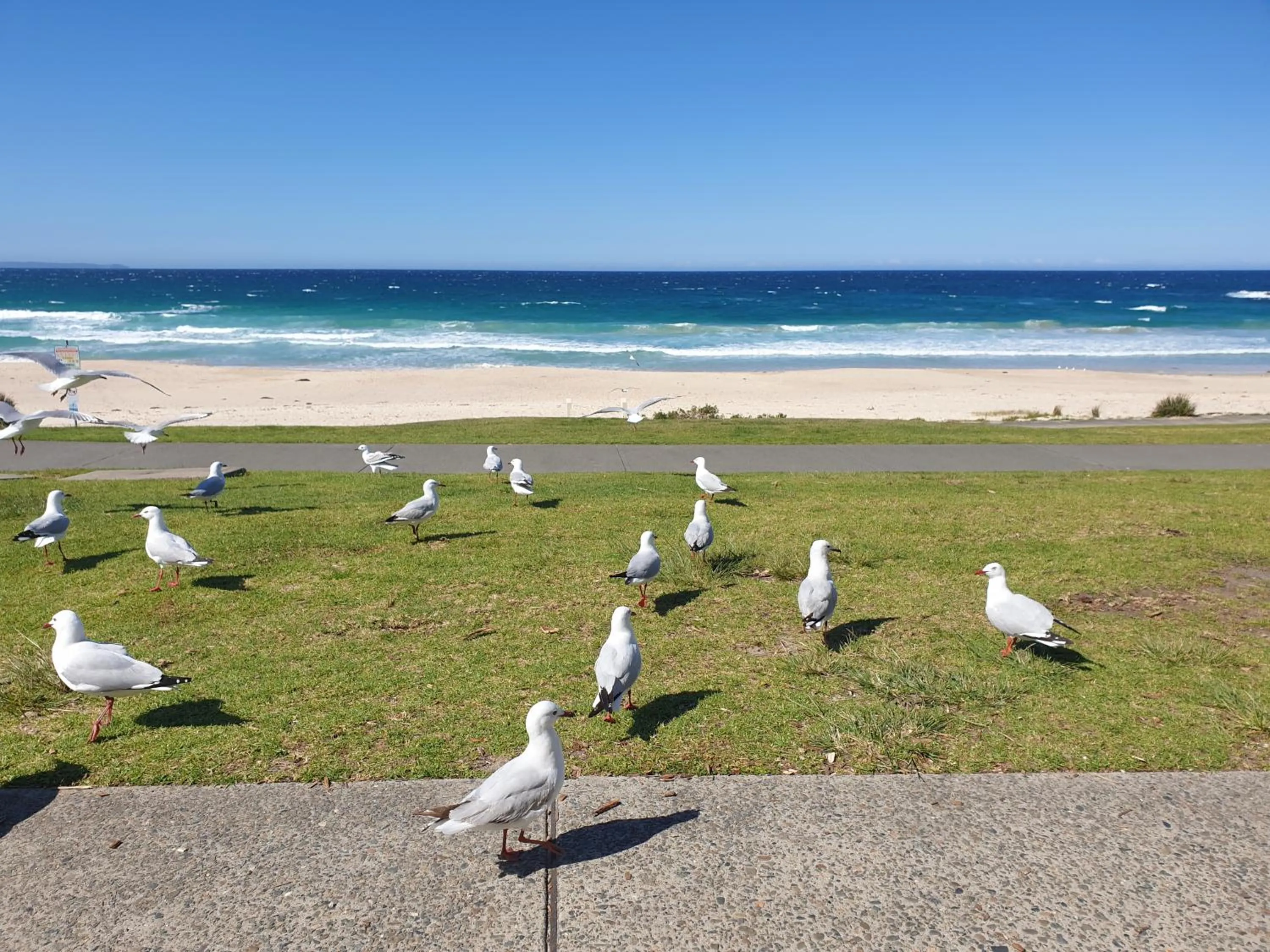 Beach in Sandpiper Motel Ulladulla