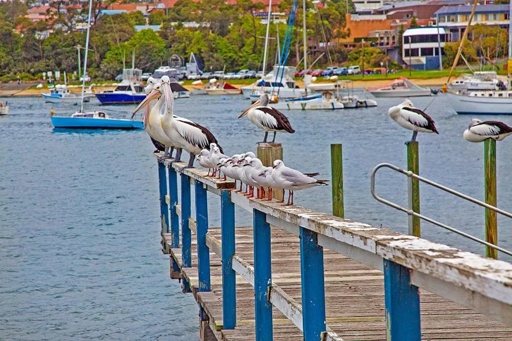 Off site in Sandpiper Motel Ulladulla