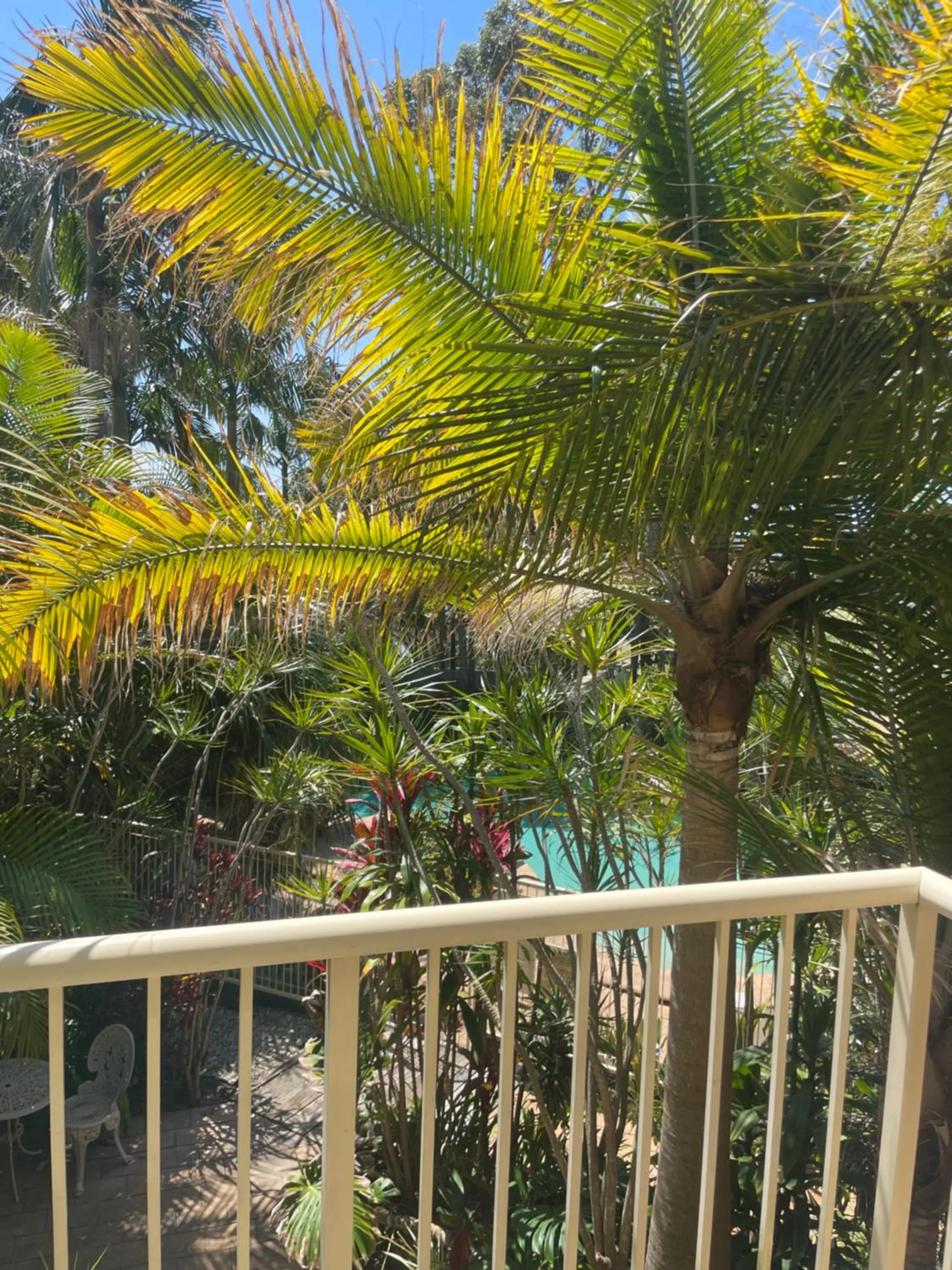 Garden in Oasis Inn Ulladulla - Welcoming Guests 18 Years and Older