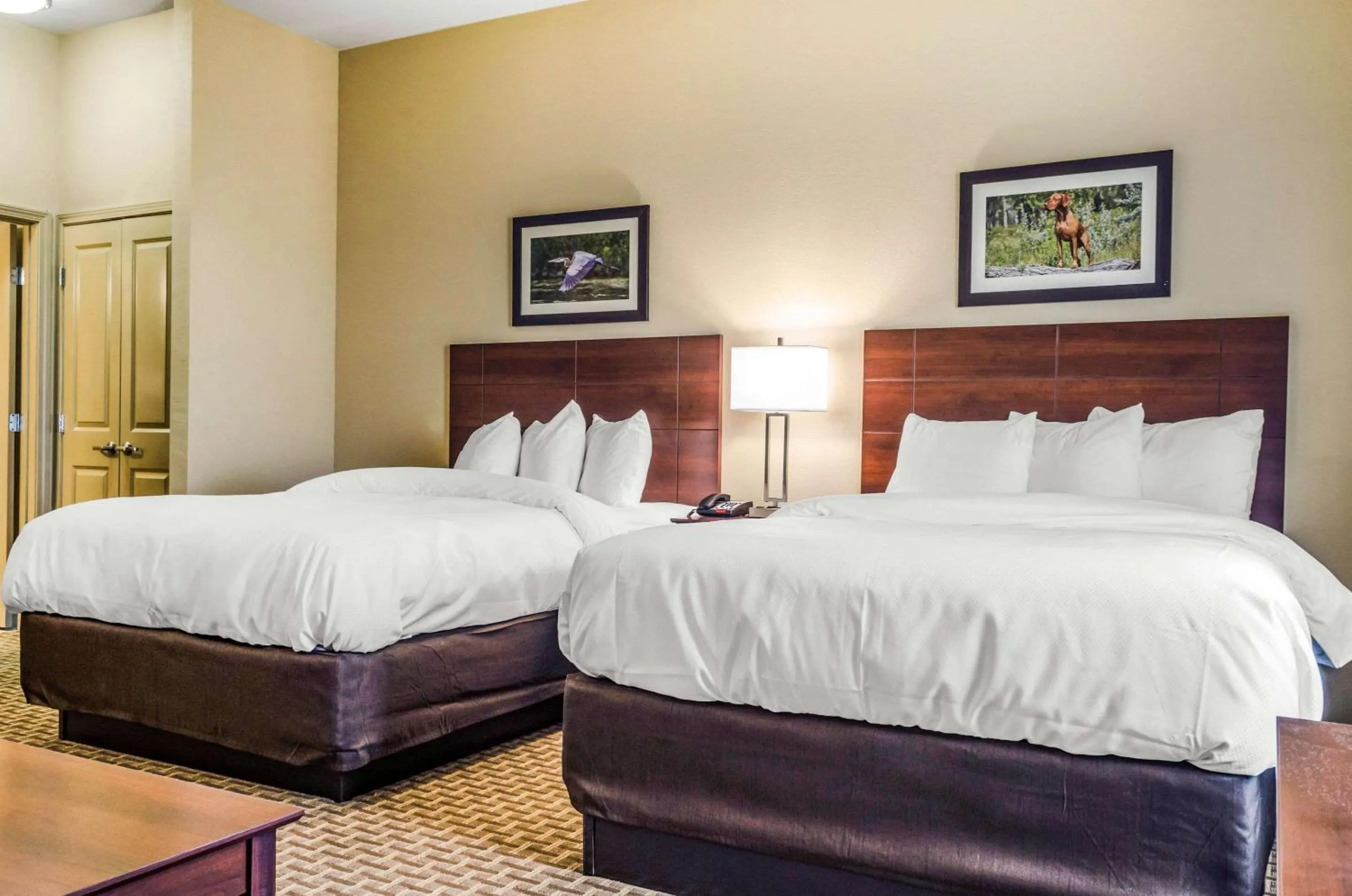 Photo of the whole room, Bed in MainStay Suites Hackberry Sportsman's Lodge