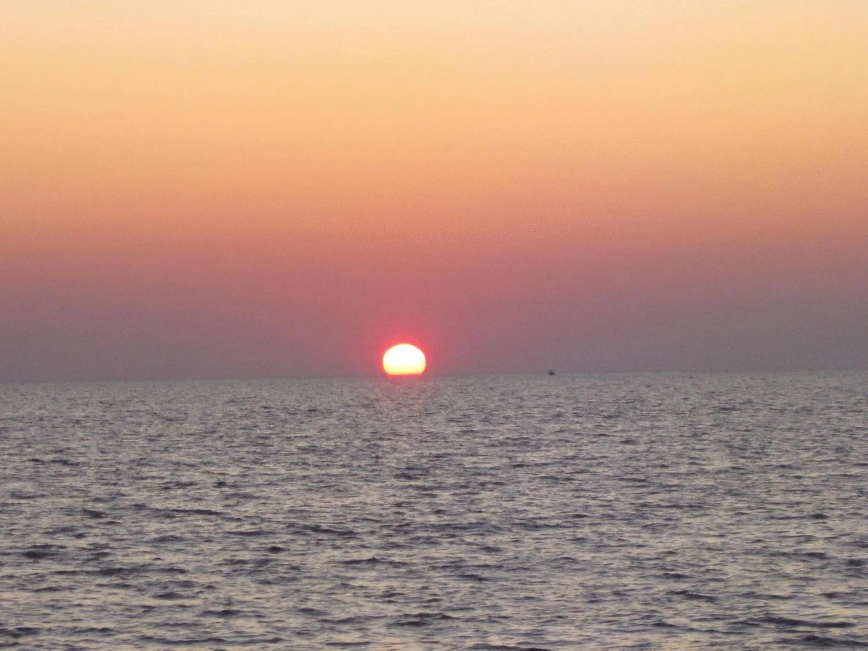 Area and facilities in Mollymook Paradise Haven Motel