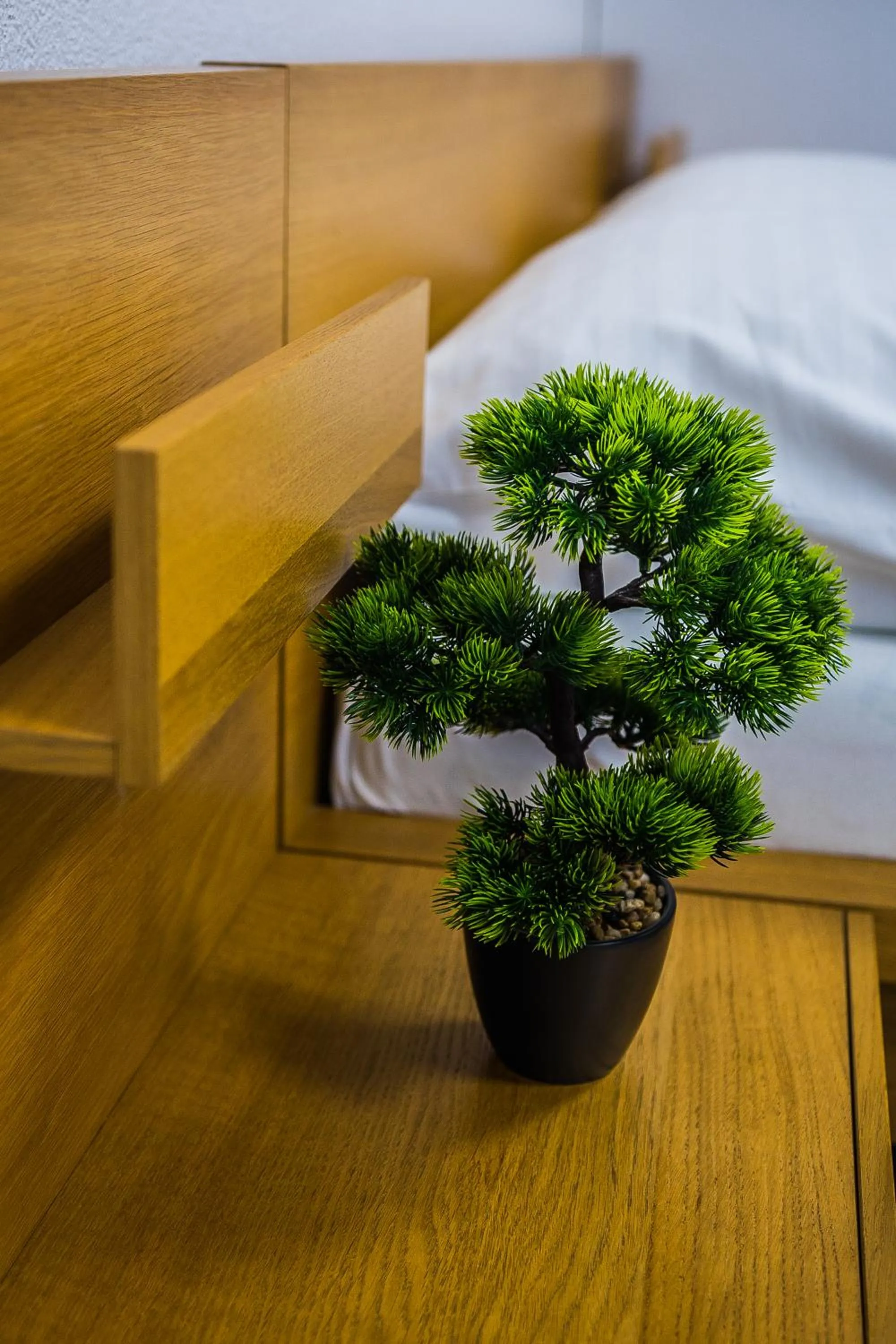 Photo of the whole room, Bed in AeroCafe