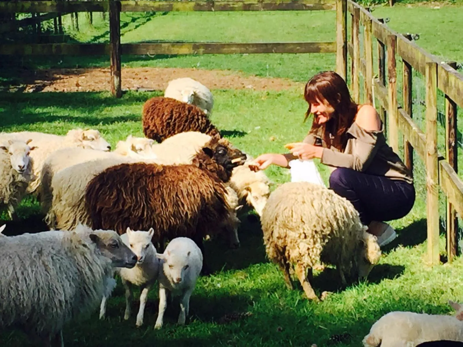 Garden in Hof Van Volmersele - Luxury B&B