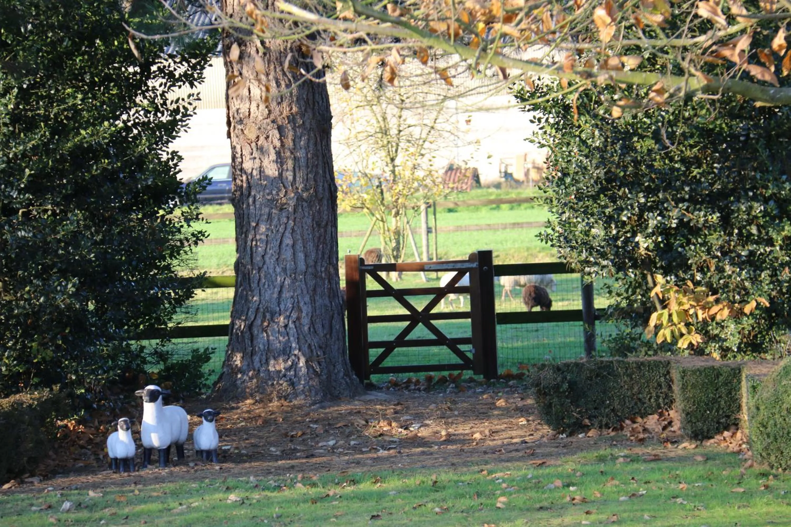 Garden in Hof Van Volmersele - Luxury B&B