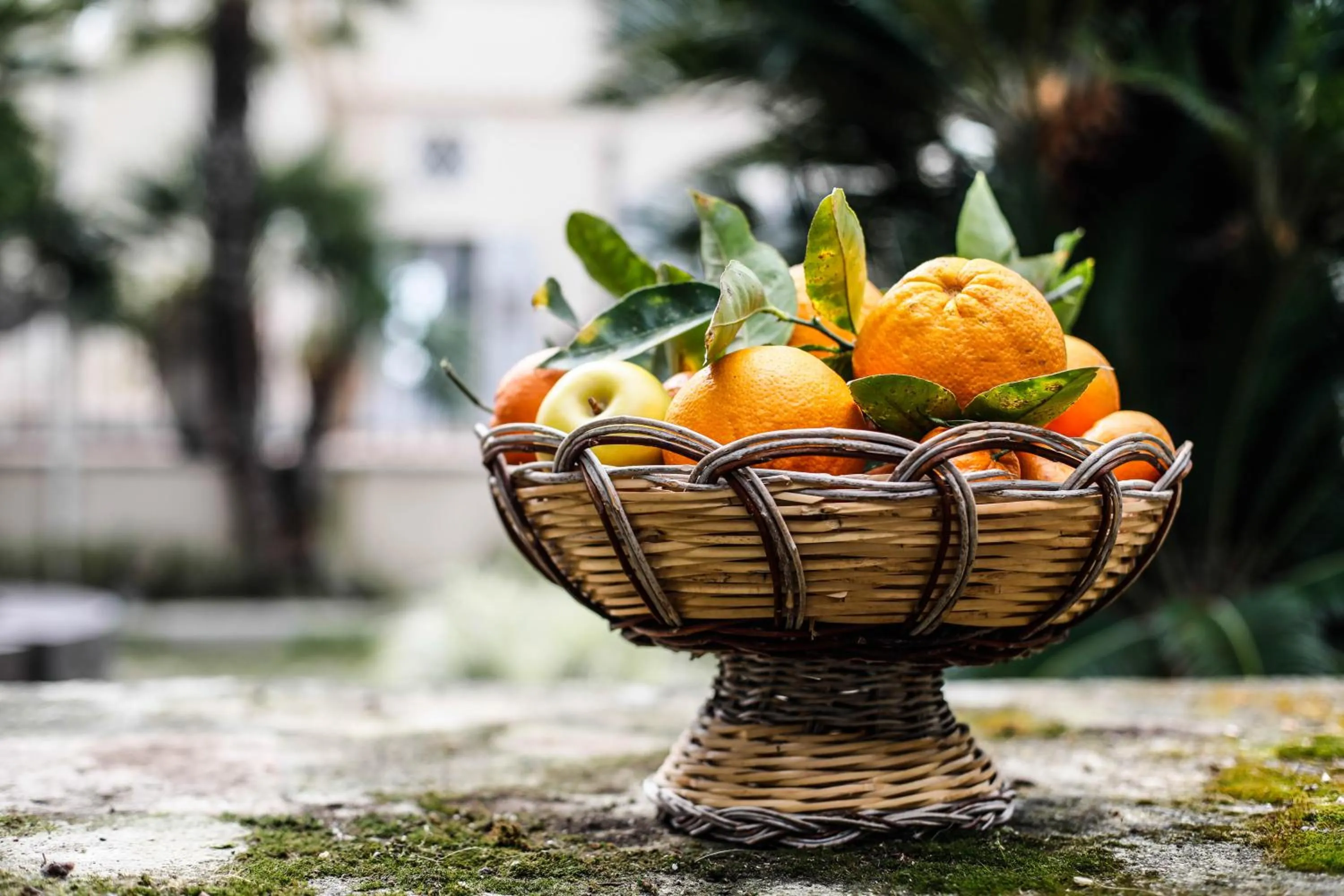 Ngonia Bay Boutique Hotel