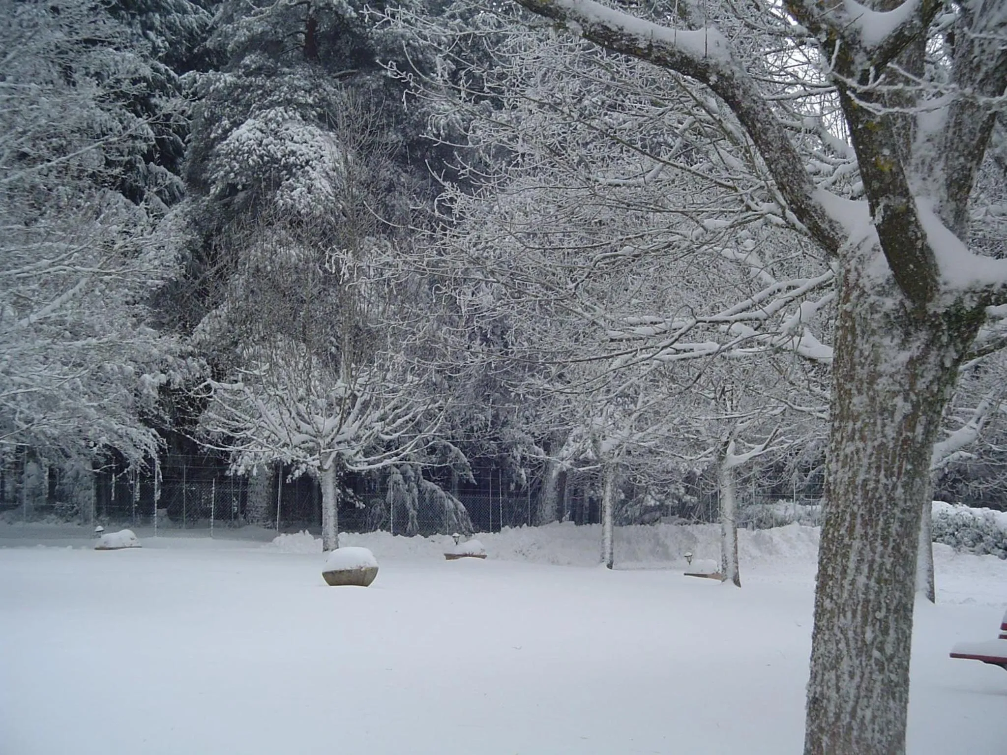 Area and facilities in Le Pavillon