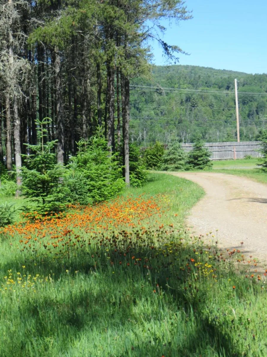 Lunch in La maison sous les arbres