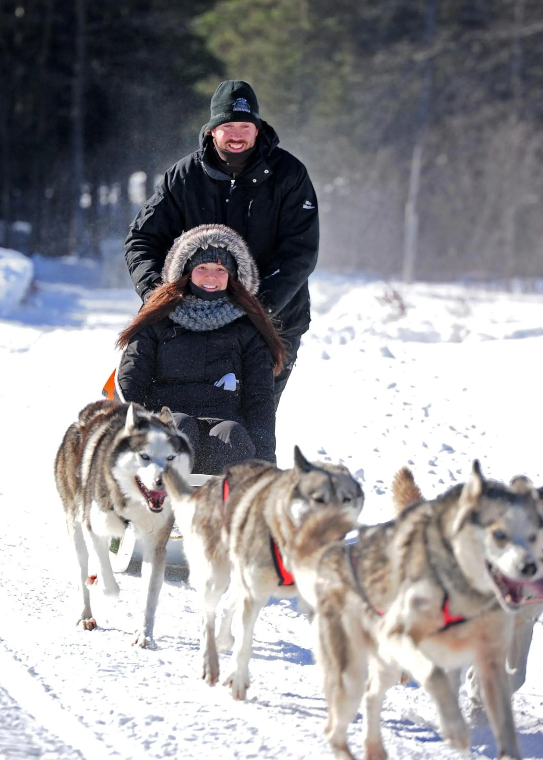 La maison sous les arbres