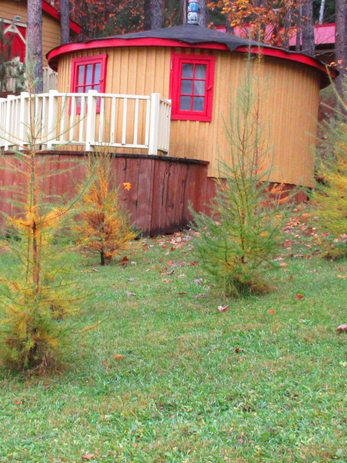 La maison sous les arbres