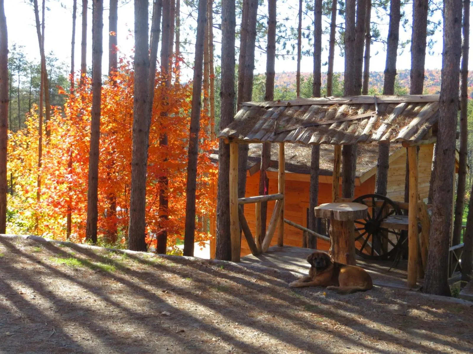 Lobby or reception in La maison sous les arbres