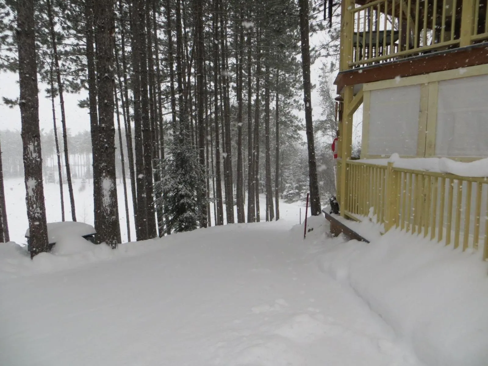 La maison sous les arbres