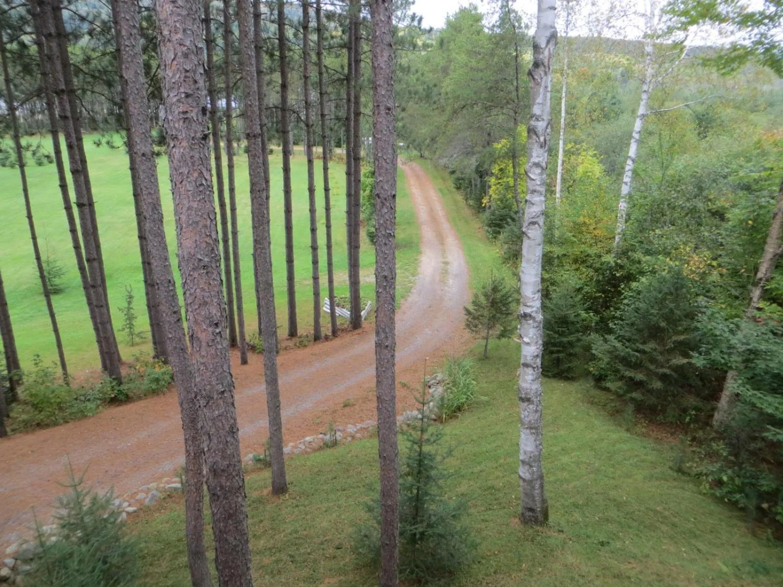 La maison sous les arbres