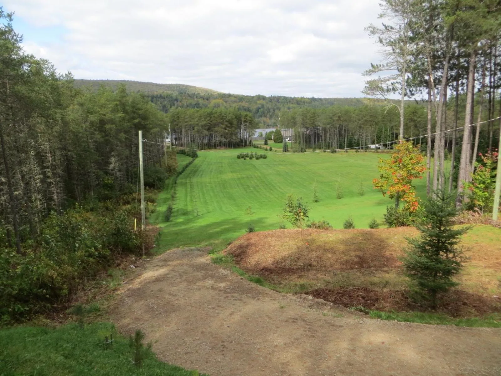 La maison sous les arbres