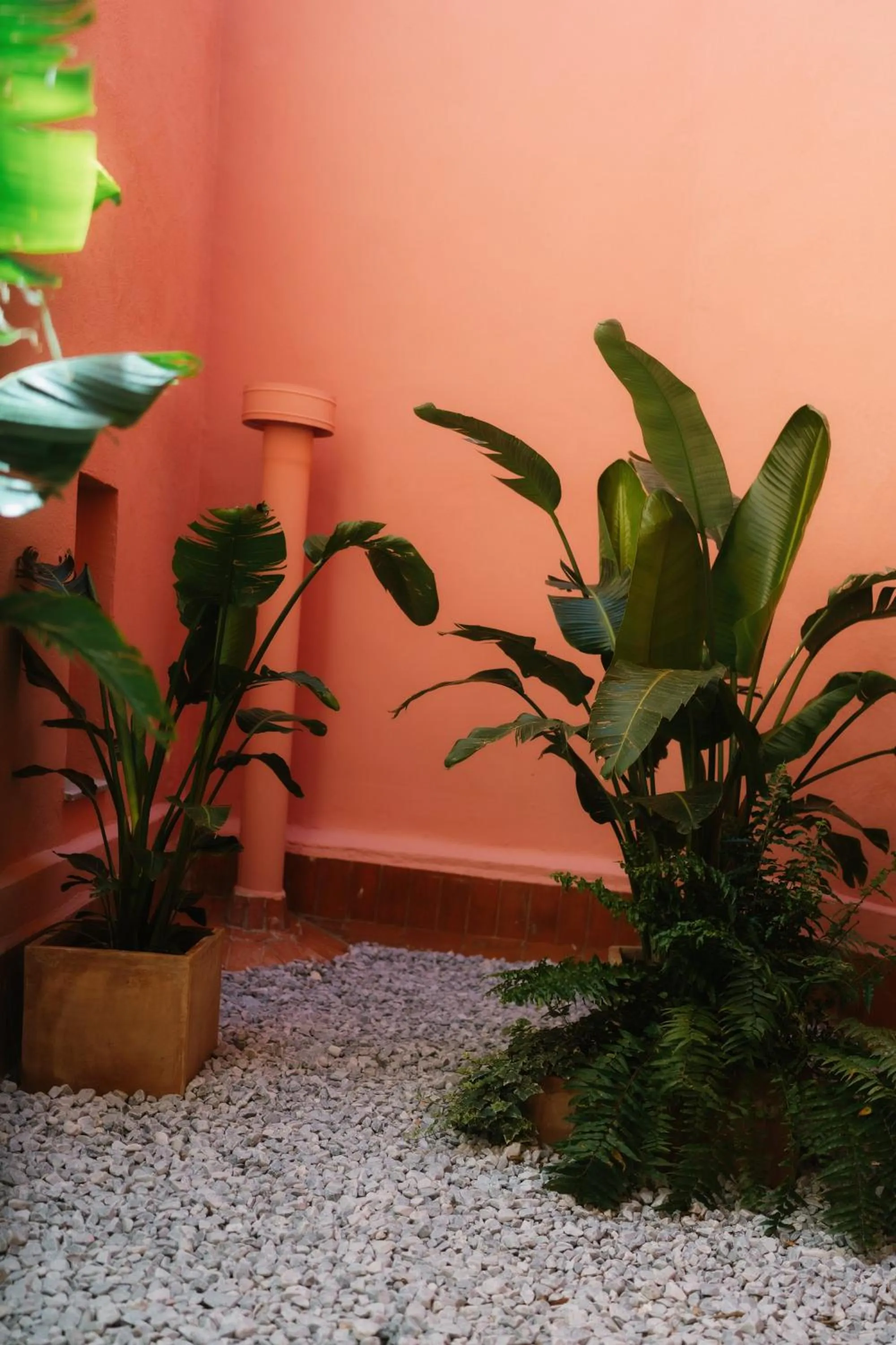 Patio in Hotel Can Solé