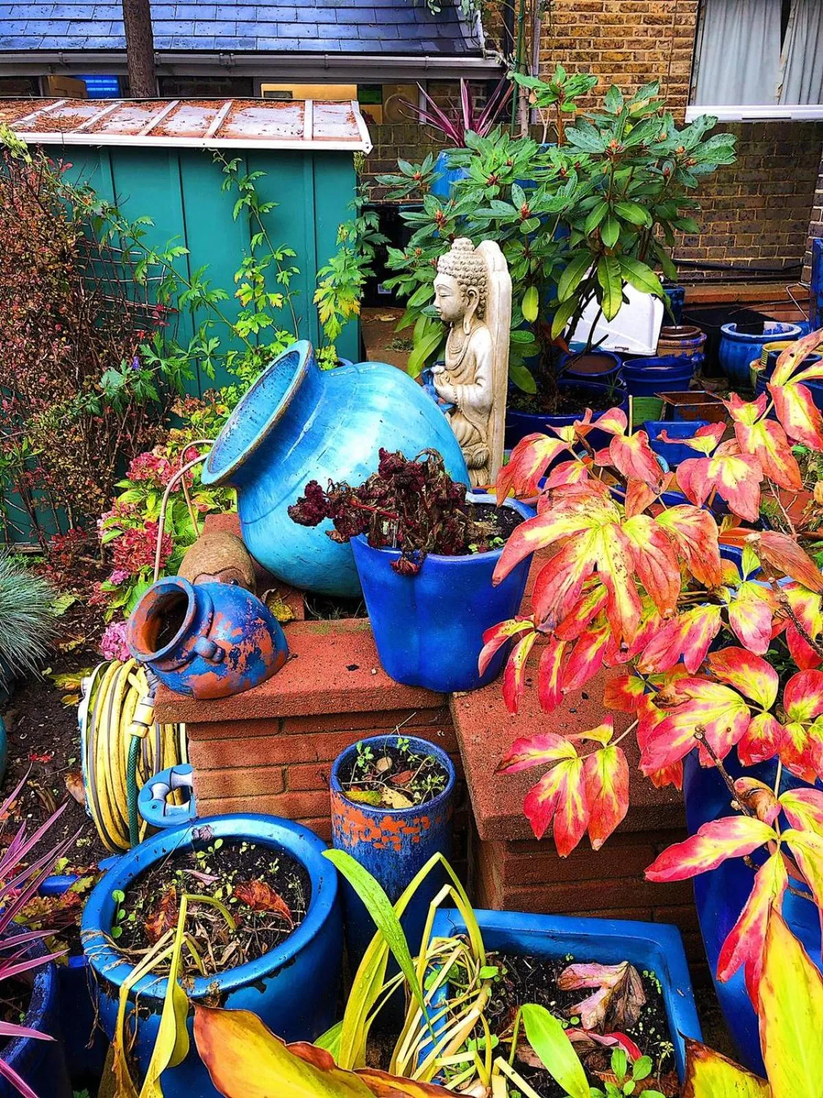 Garden in Caspian Hotel