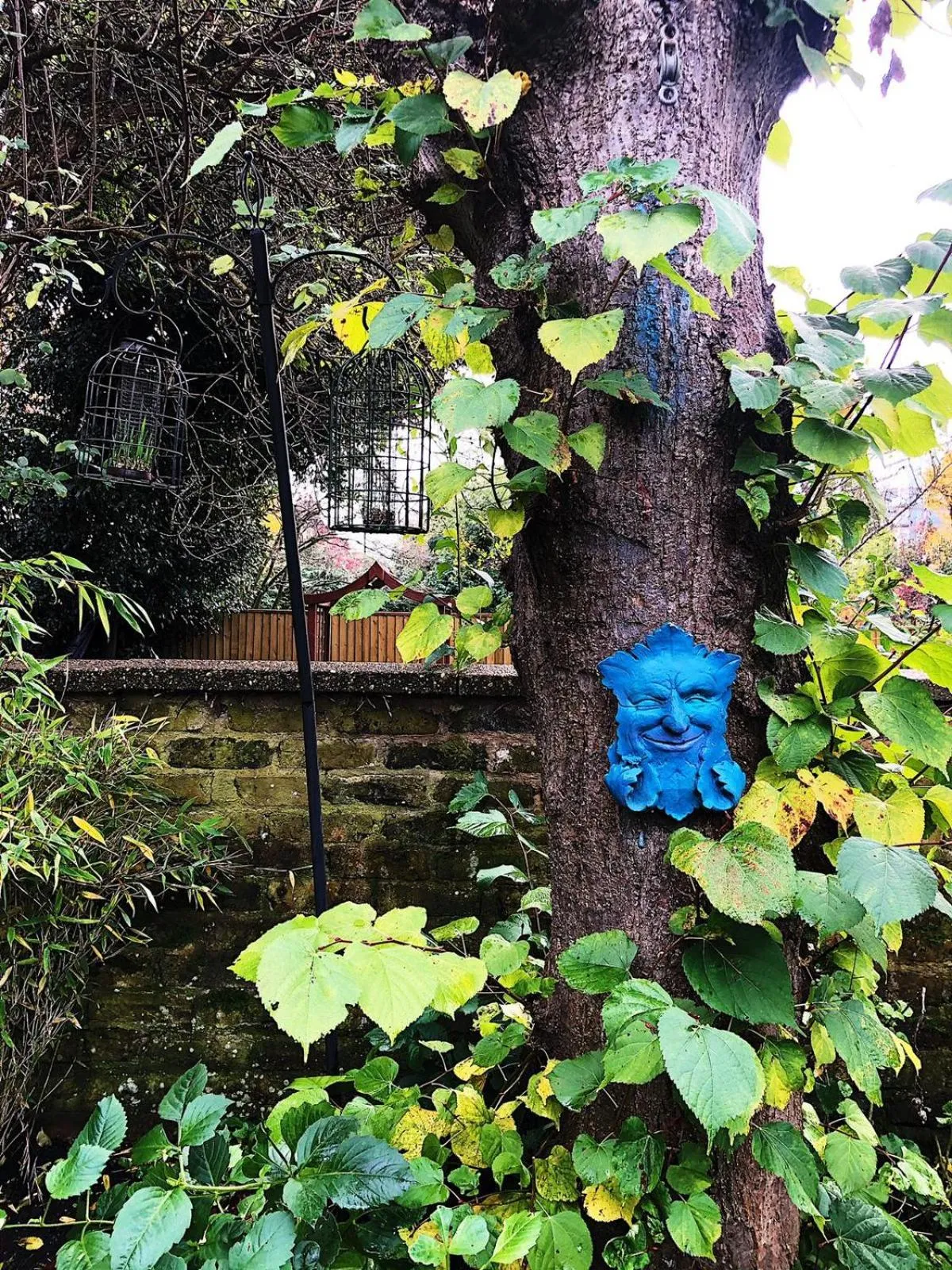 Garden in Caspian Hotel