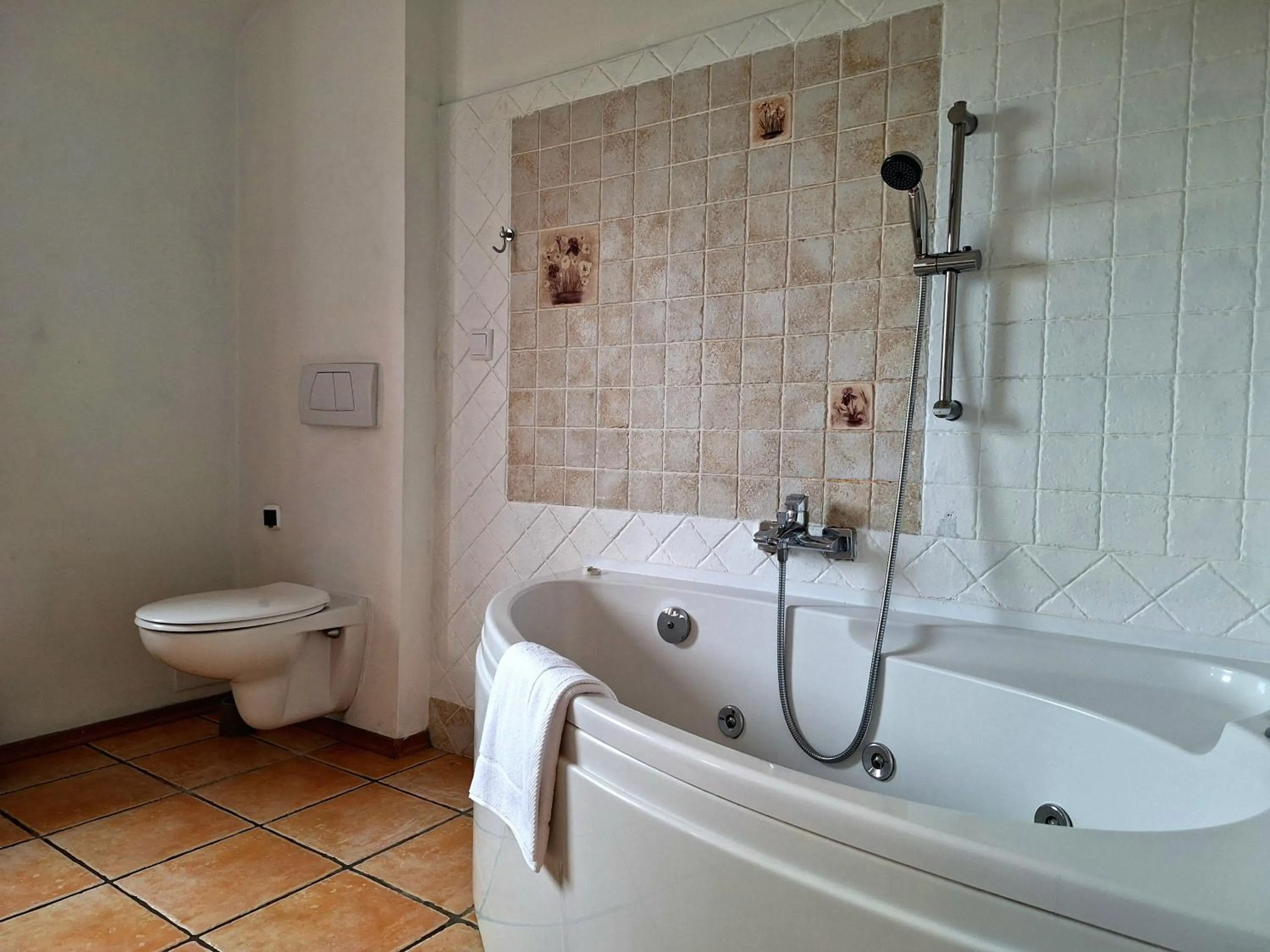 Shower in Nowa Villa Zosieńka darmowy free PARKING